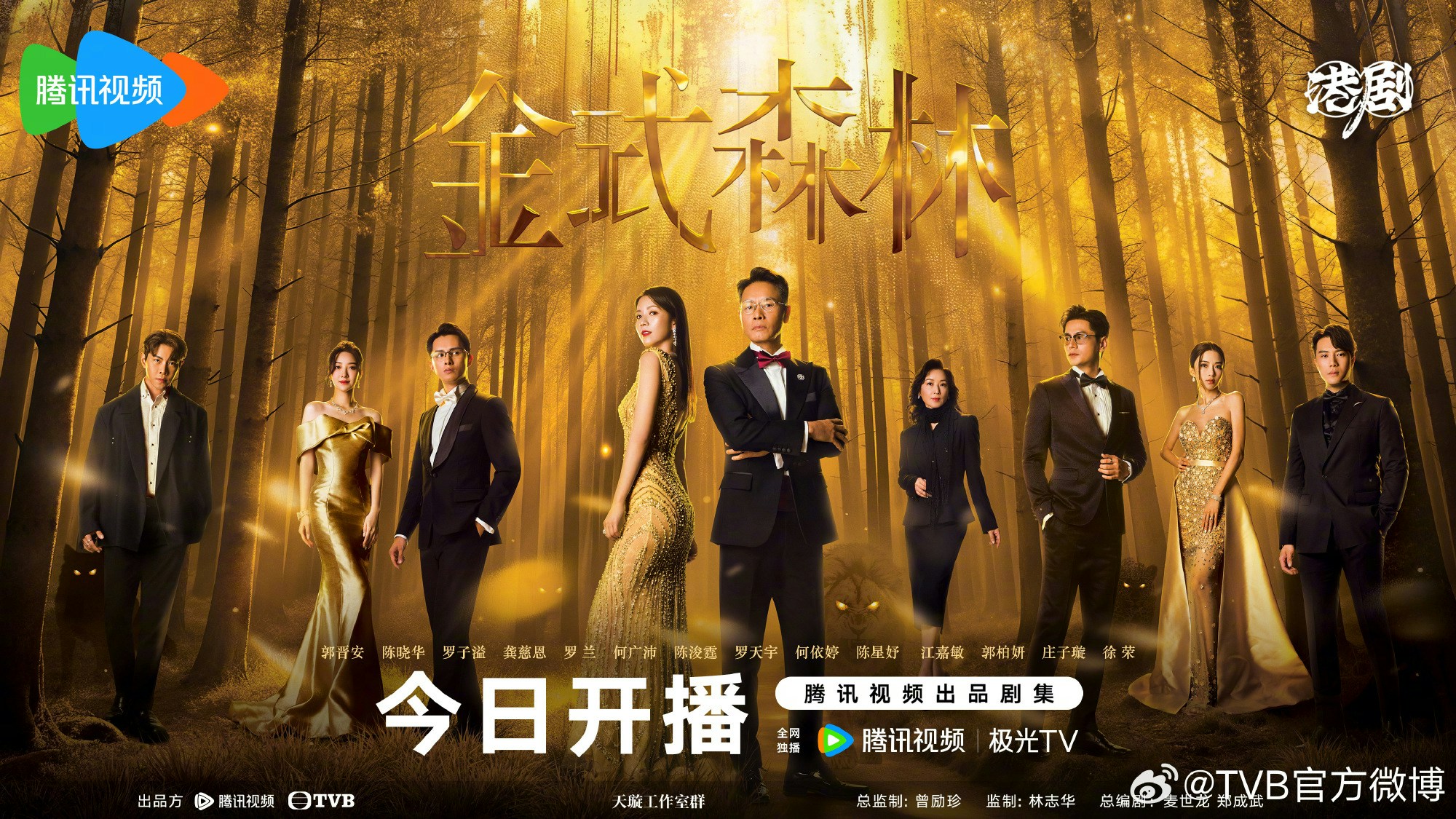 金式森林劇情｜最新追劇日曆/播出時間+演員角色簡介