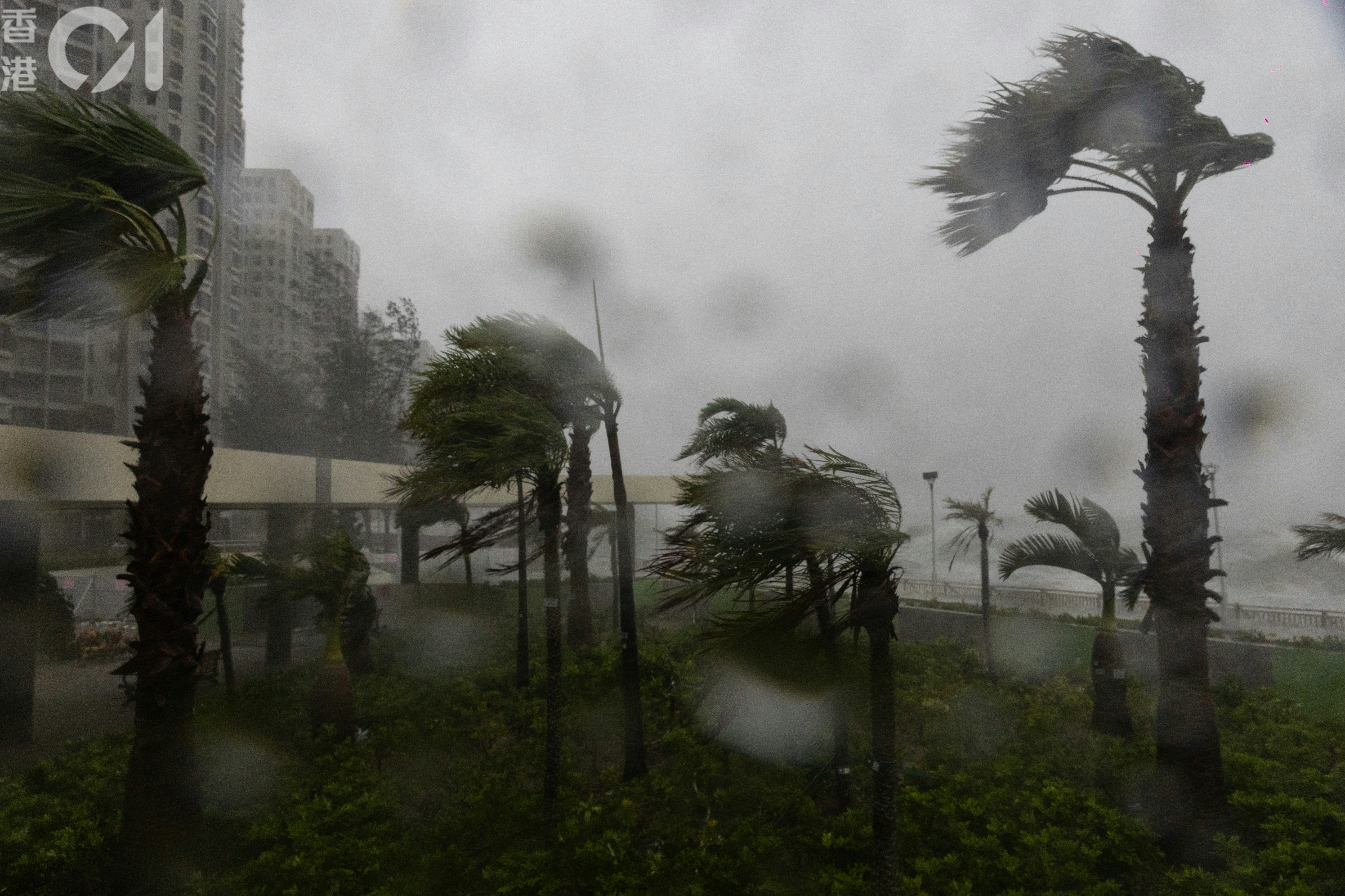 台风桦加沙｜打风不停市银行家需求激增中环金钟五星酒店爆满