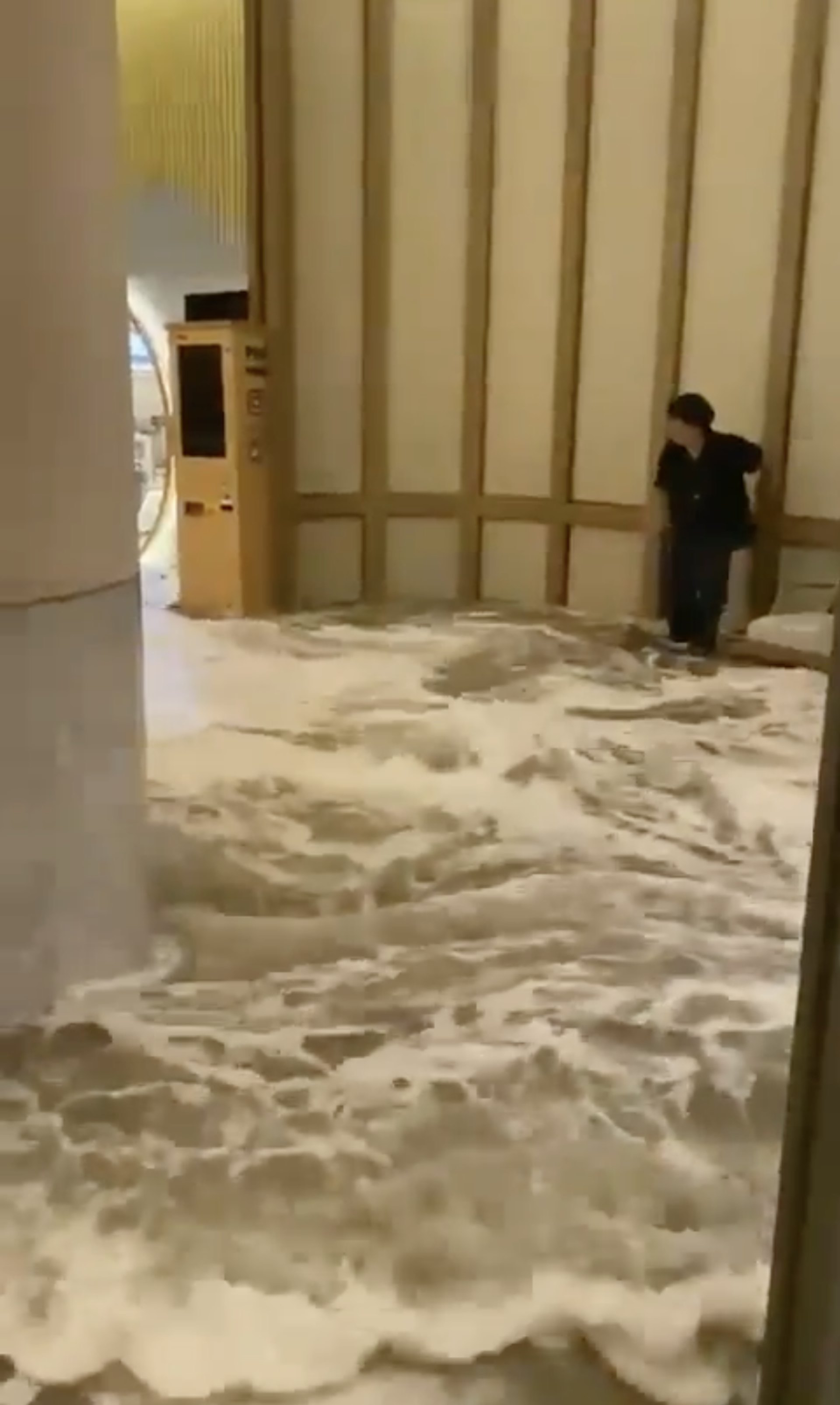 香港富麗敦海洋公園酒店成澤國。(網上短片)