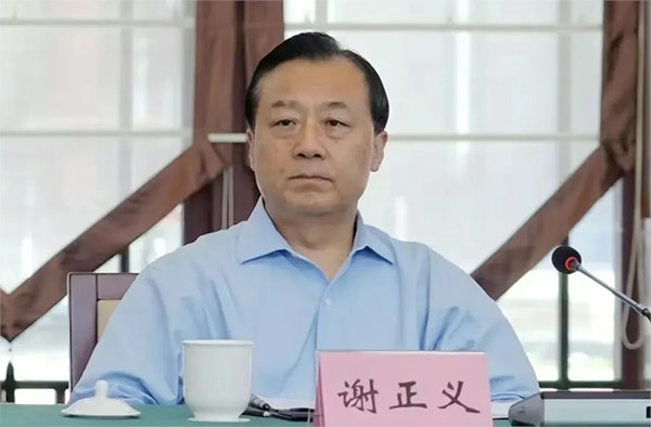 谢正义被查 江苏连续三任国资委主任落马