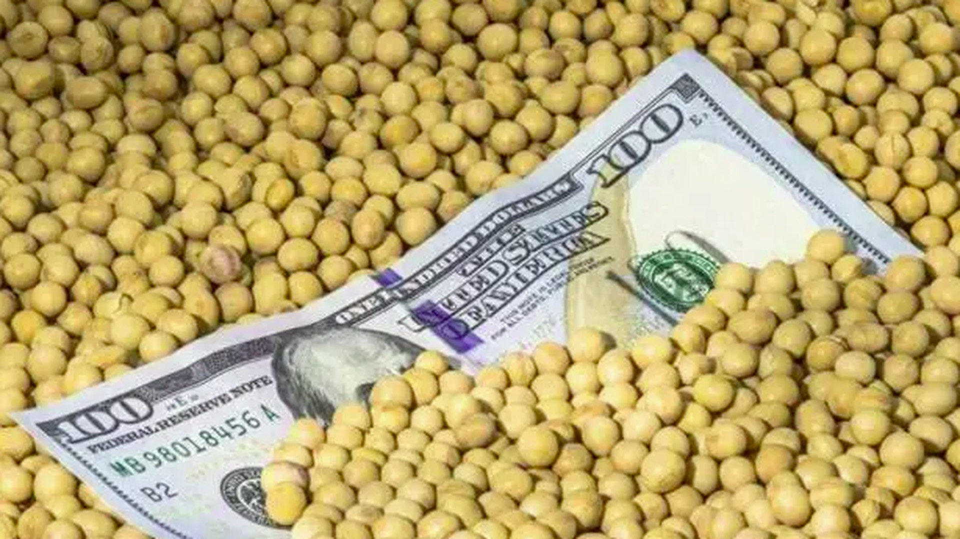 特朗普焦虑发帖中国施合纵连横战略“大豆牌”又打中美国七寸