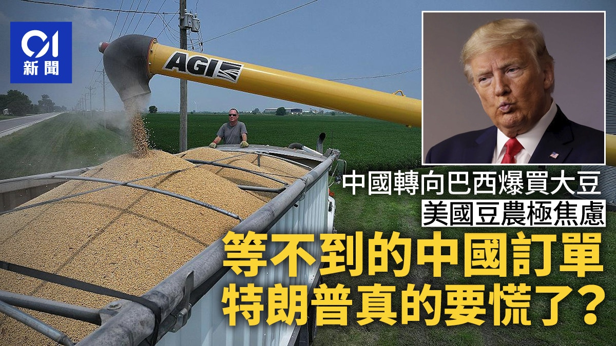 美國大豆滯銷：中國轉向巴西爆買後特朗普真的要慌了？