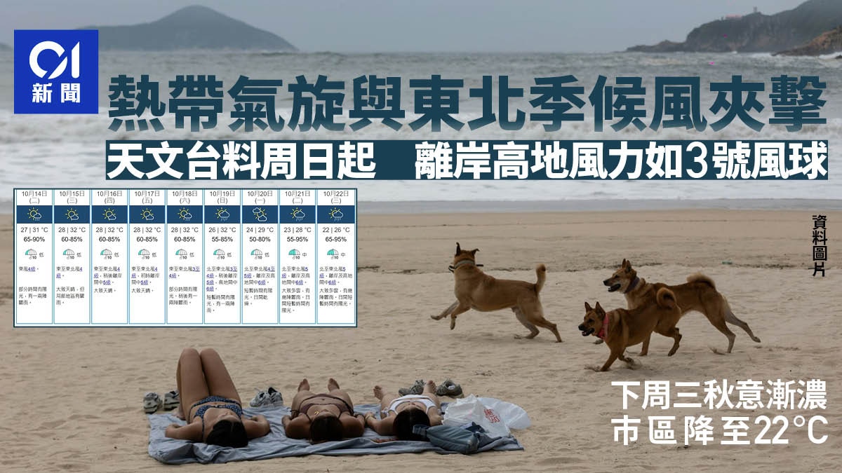 天文台料低壓區與東北季候風夾擊 周日起離岸高地風力如3號風球