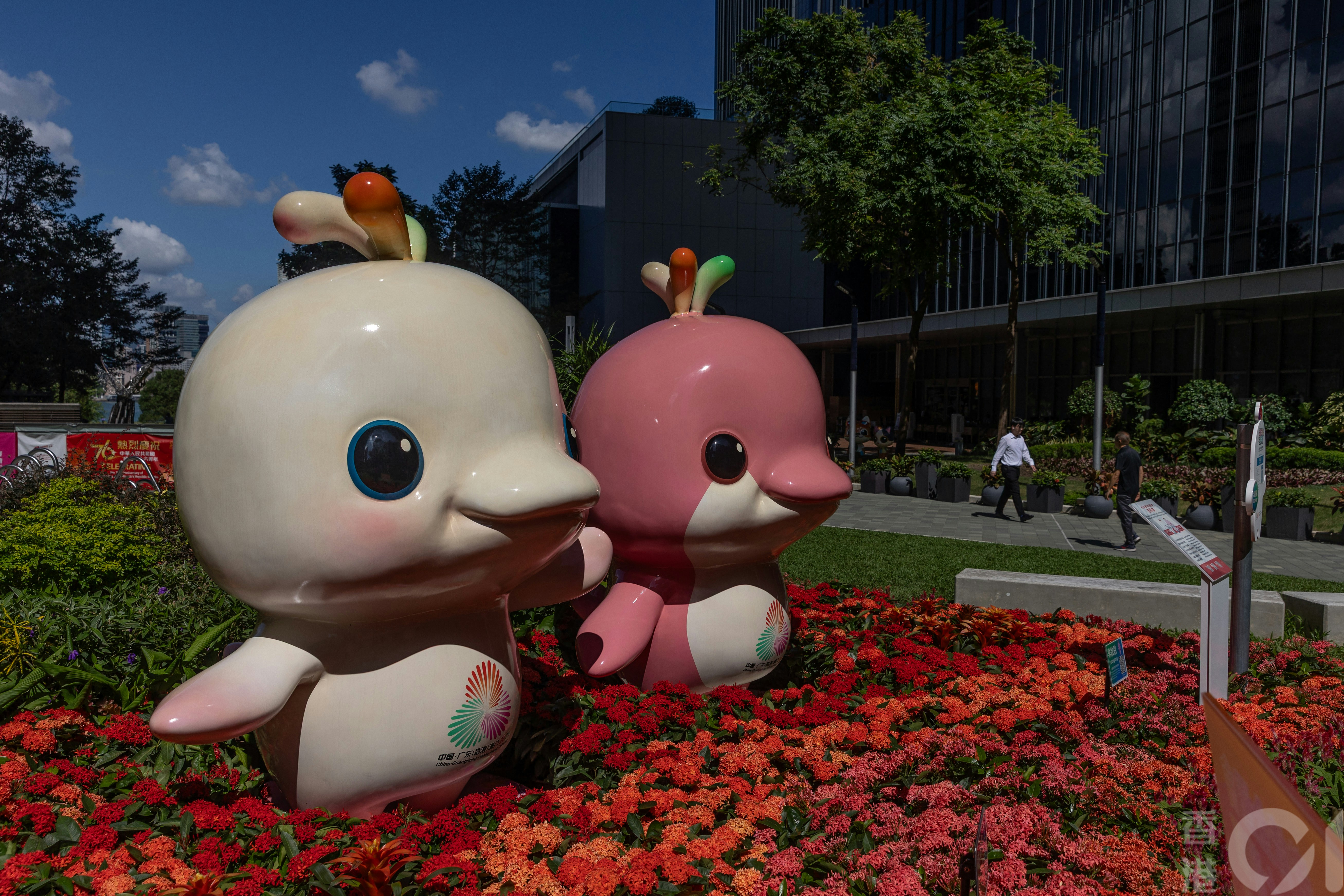粤港澳合办的第十五届全运会2025年11月9日开幕。港府在金钟添马公园等放置吉祥物“喜洋洋”（左）及“乐融融”（右）公仔宣传，供市民打卡。（资料图片／廖雁雄摄）