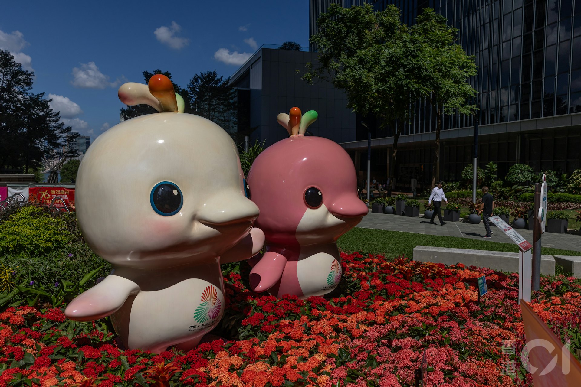 粤港澳合办的第十五届全运会2025年11月9日开幕。港府在金钟添马公园等放置吉祥物“喜洋洋”(左)及“乐融融”(右)公仔宣传,供市民打卡。(资料图片/廖雁雄摄)