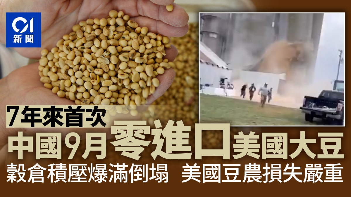 中國9月進口大豆數為零美國穀倉積壓倒塌豆粒噴湧而出影片曝光