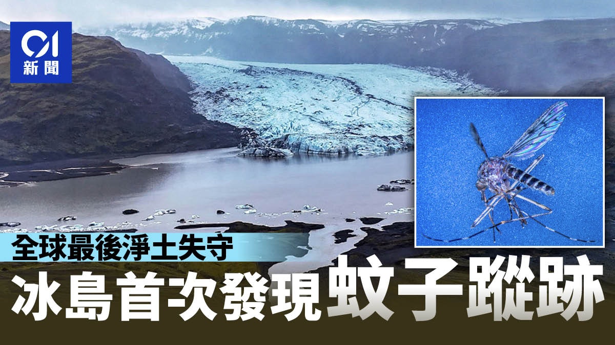 圖檔