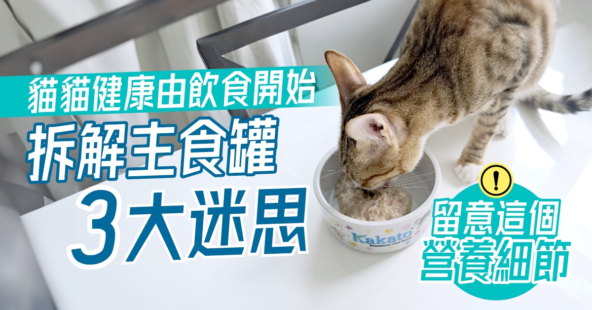 猫猫健康由饮食开始 拆解主食罐3大迷思 留意这个营养细节