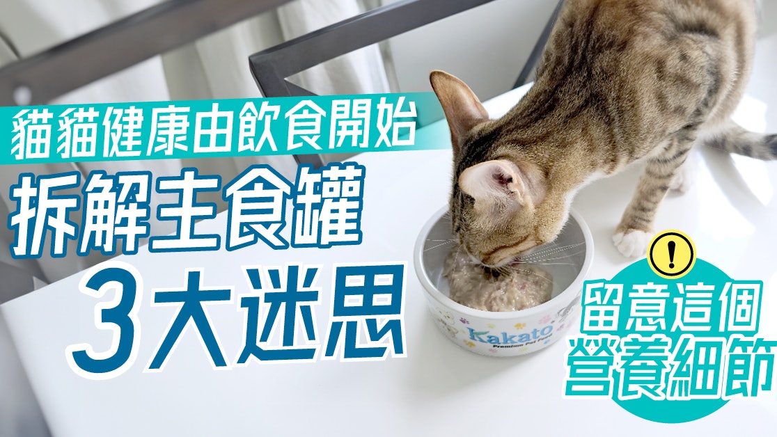 猫猫健康由饮食开始 拆解主食罐3大迷思 留意这个营养细节