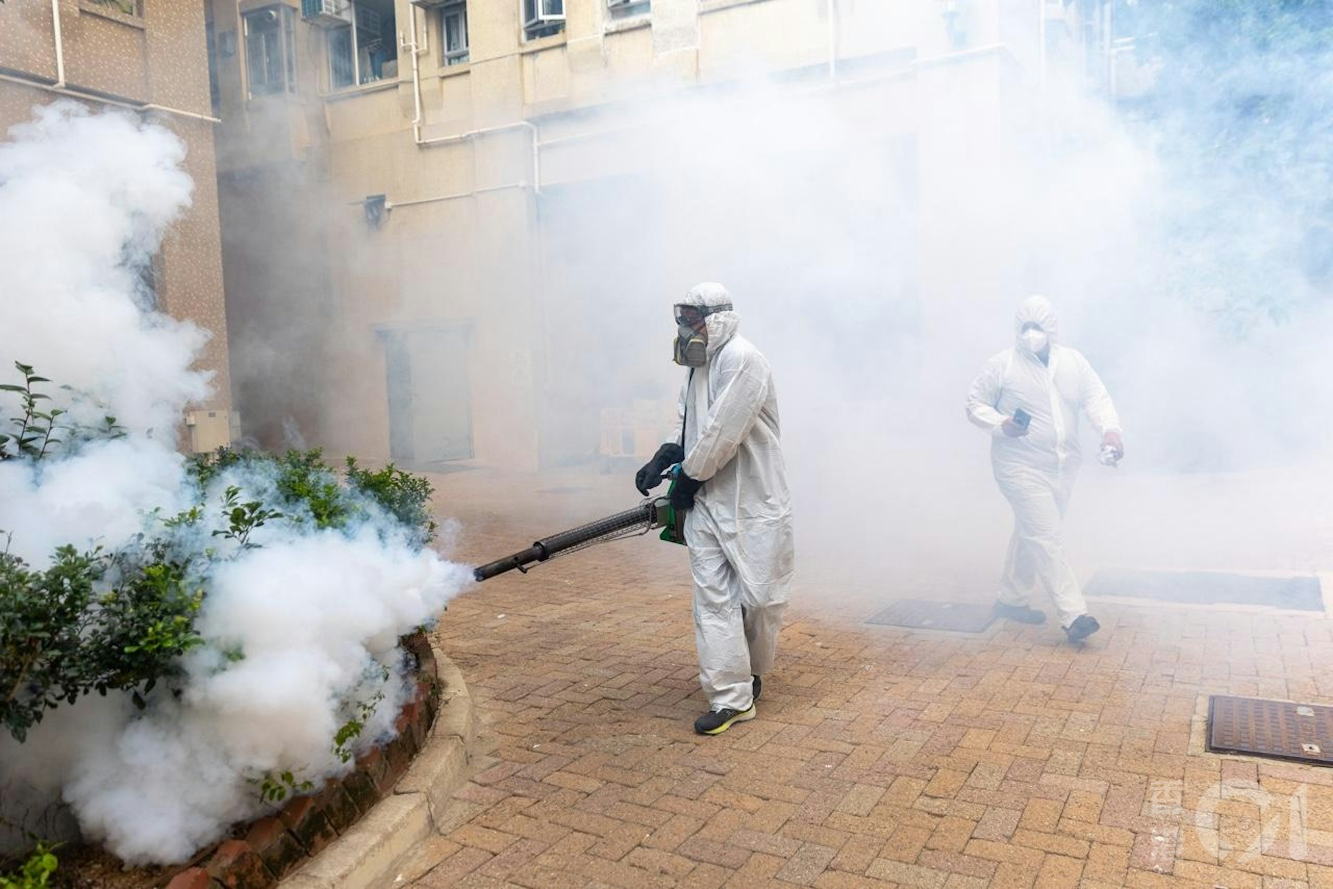 衞生署10月26日公布出現首宗本地感染基孔肯雅熱個案,患者居於鑽石山鳳德邨,屋苑對面的龍蟠苑即有人員噴滅蚊煙霧。(梁鵬威攝) 衞生署10月26日公布出現首宗本地感染基孔肯雅熱個案,患者居於鑽石山鳳德邨,屋苑對面的龍蟠苑即有人員噴滅蚊煙霧。(梁鵬威攝)