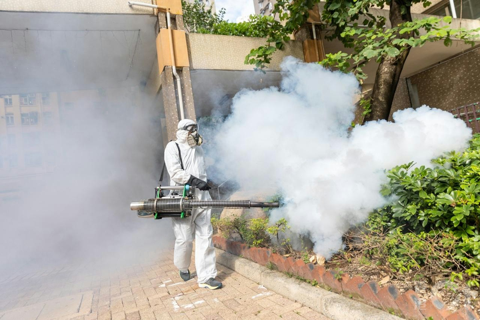 衞生署10月26日公布出現首宗本地感染基孔肯雅熱個案,患者居於鑽石山鳳德邨,屋苑對面的龍蟠苑即有人員噴滅蚊煙霧。(梁鵬威攝) 衞生署10月26日公布出現首宗本地感染基孔肯雅熱個案,患者居於鑽石山鳳德邨,屋苑對面的龍蟠苑即有人員噴滅蚊煙霧。(梁鵬威攝)