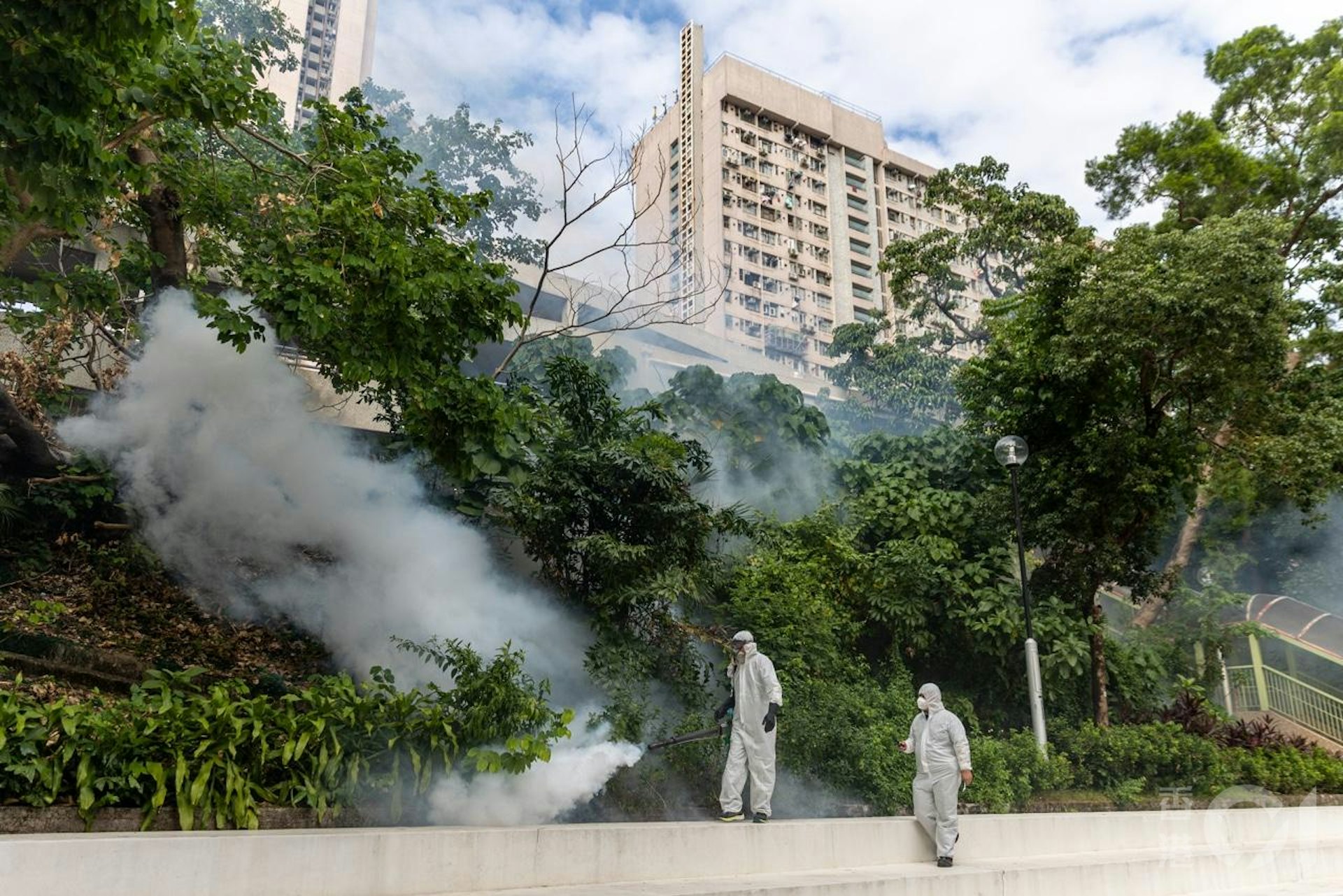 衞生署10月26日公布出現首宗本地感染基孔肯雅熱個案,患者居於鑽石山鳳德邨,屋苑對面的龍蟠苑即有人員噴滅蚊煙霧。(梁鵬威攝) 衞生署10月26日公布出現首宗本地感染基孔肯雅熱個案,患者居於鑽石山鳳德邨,屋苑對面的龍蟠苑即有人員噴滅蚊煙霧。(梁鵬威攝)