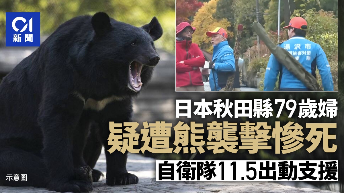 日本秋田县79岁妇人疑遭熊袭击身亡防卫省明日起派自卫队支援