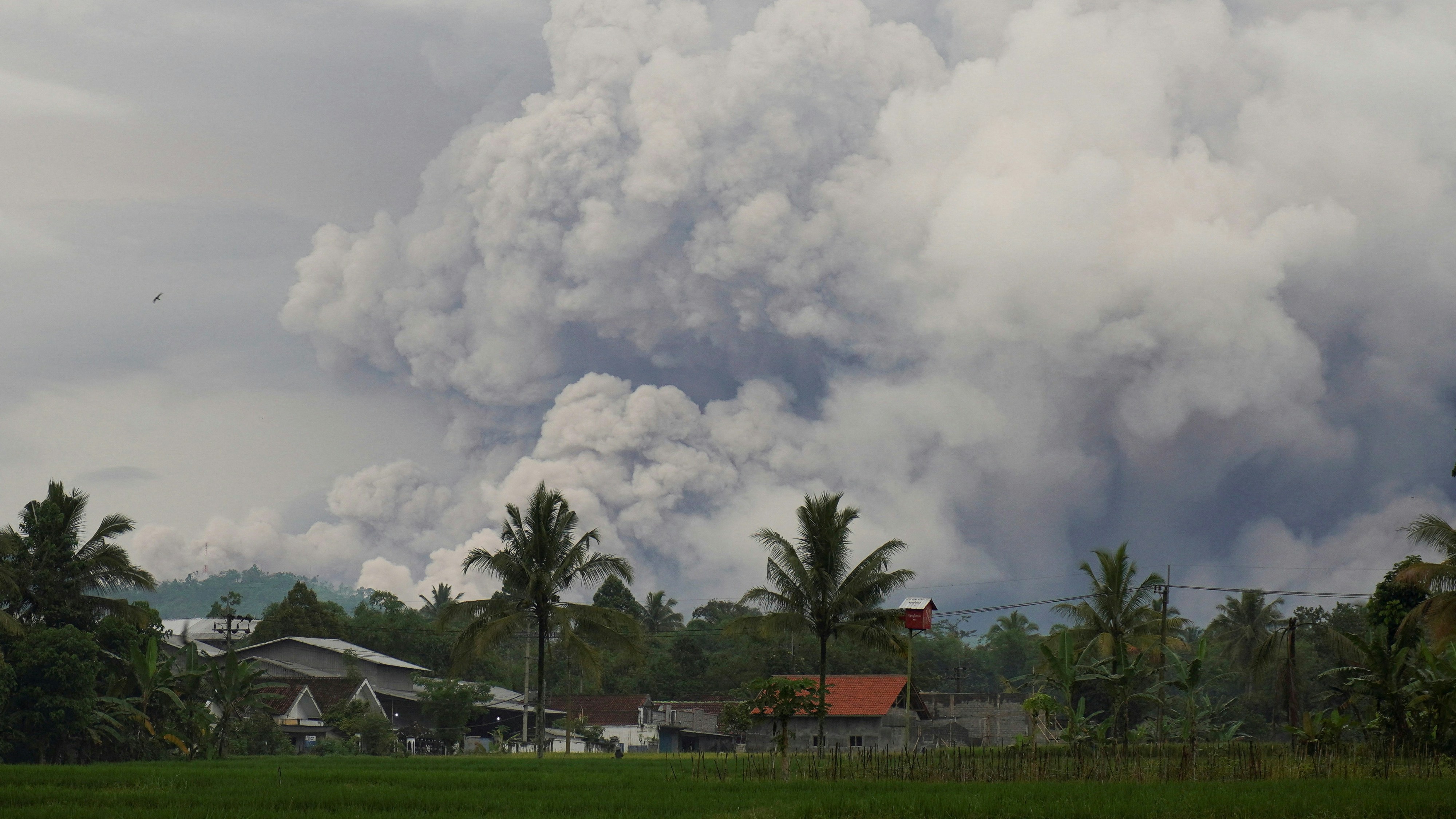 印尼爪哇塞梅魯火山再爆發　警戒級別升至最高　火山灰吹襲村莊