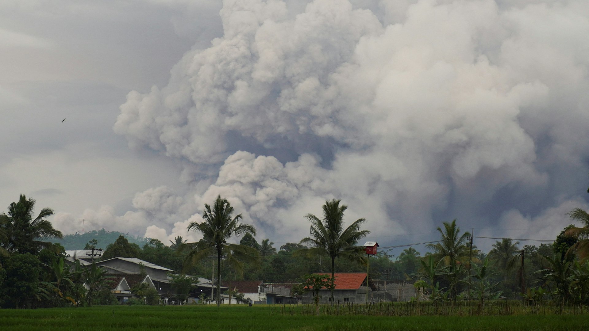 印尼爪哇塞梅魯火山再爆發 警戒級別升至最高 火山灰吹襲村莊 印尼爪哇塞梅魯火山再爆發 警戒級別升至最高 火山灰吹襲村莊