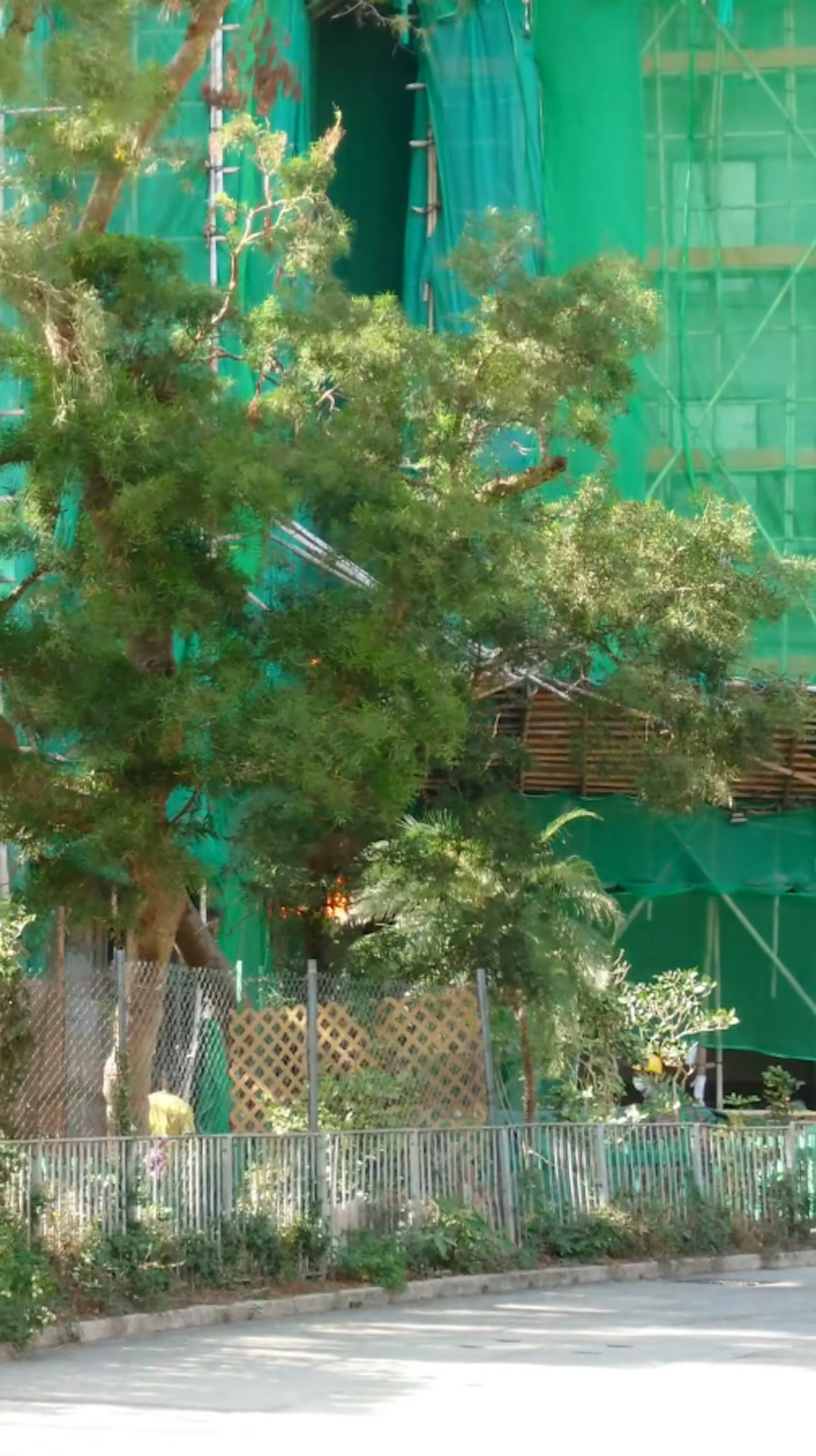 最初是由宏福苑宏昌閣外牆棚架最先起火。(網民striking_biking片段) 最初是由宏福苑宏昌閣外牆棚架最先起火。(網民striking_biking片段)