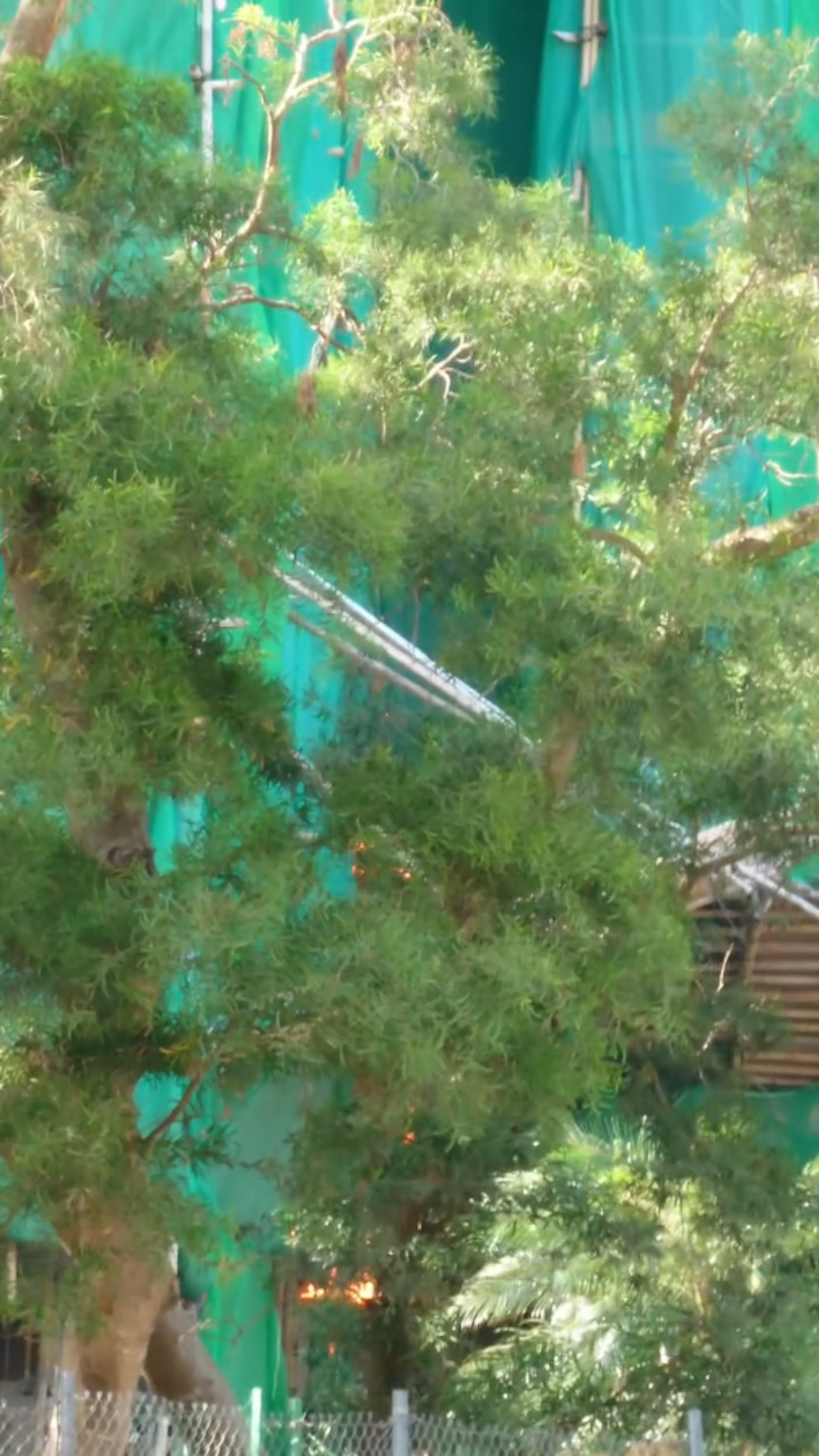 最初宏昌閣低層有棚架出現火種,但火勢並不猛烈,尚未開始蔓延。(網民striking_biking片段) 最初宏昌閣低層有棚架出現火種,但火勢並不猛烈,尚未開始蔓延。(網民striking_biking片段)