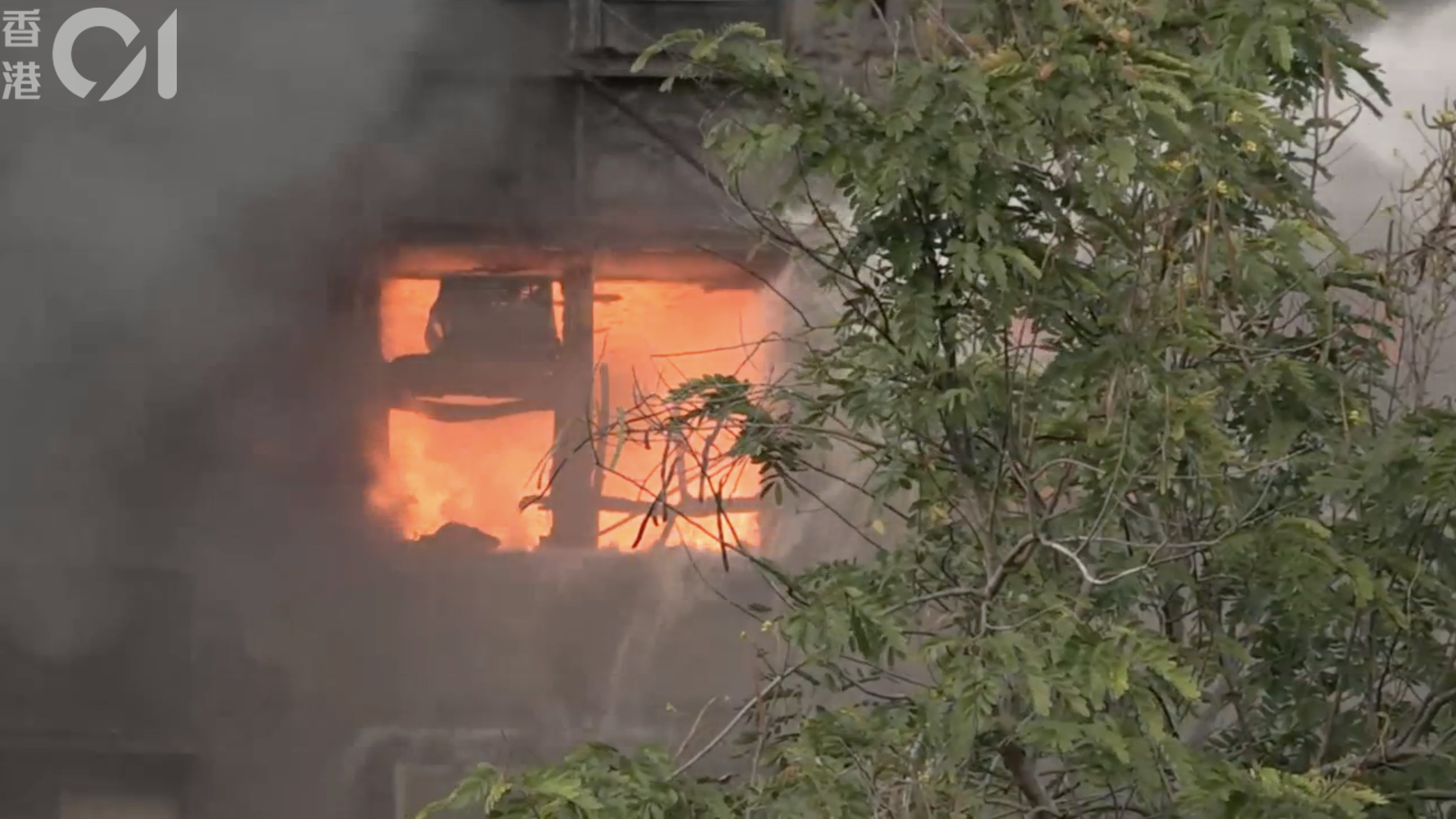 宏福苑多幢大廈被波及，建築內外均火光熊熊。（香港01直播截圖）