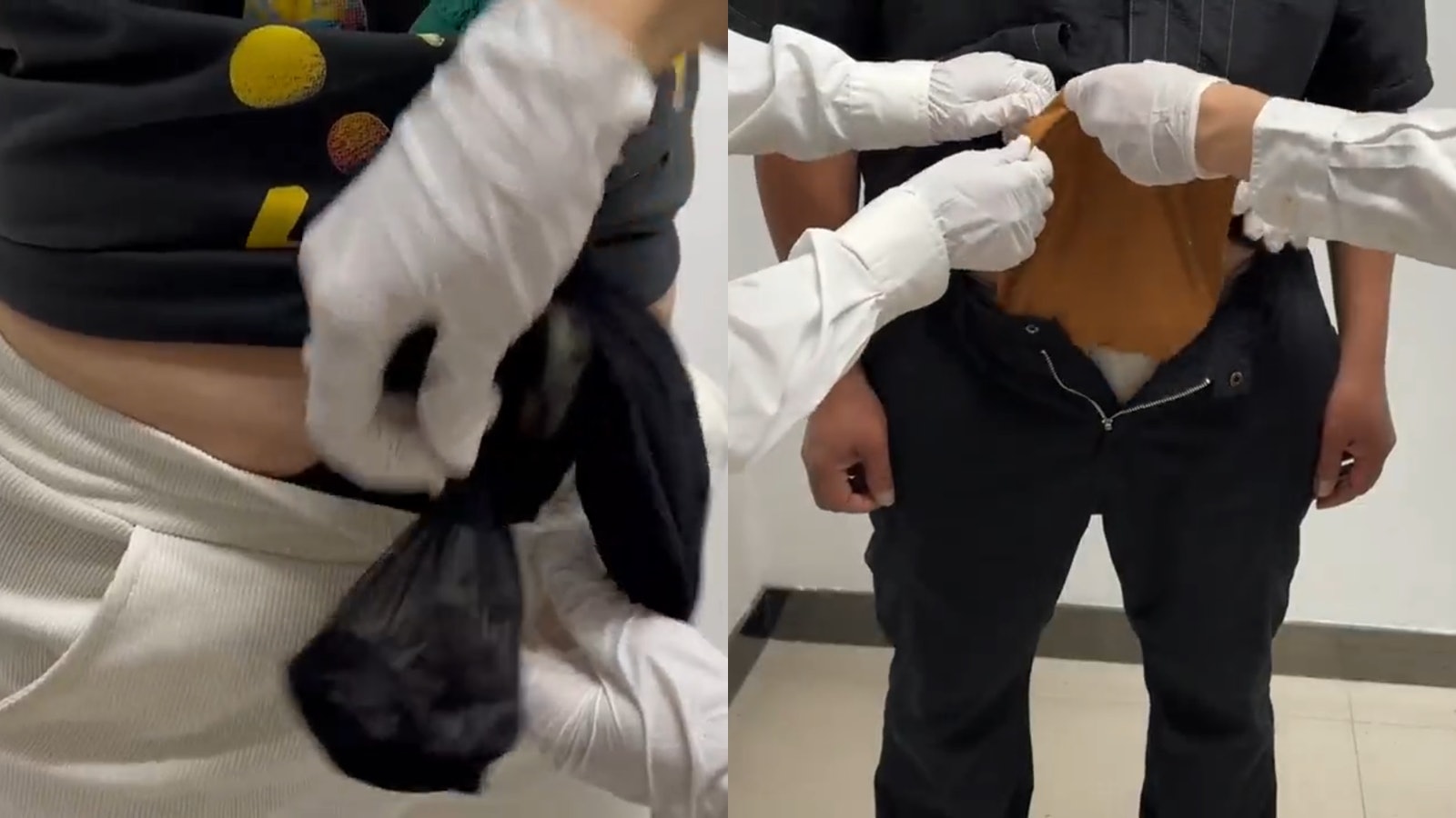 褲襠藏72隻外來物種 3女1男行色匆匆羅湖口岸被查