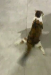https://cdn.hk01.com/di/media/images/dw/20251203/1072886840584966144429671.png/zmLEMiROagwHGz2CT1KZoGzJoXwpambynw5A258OQNs?v=w1920