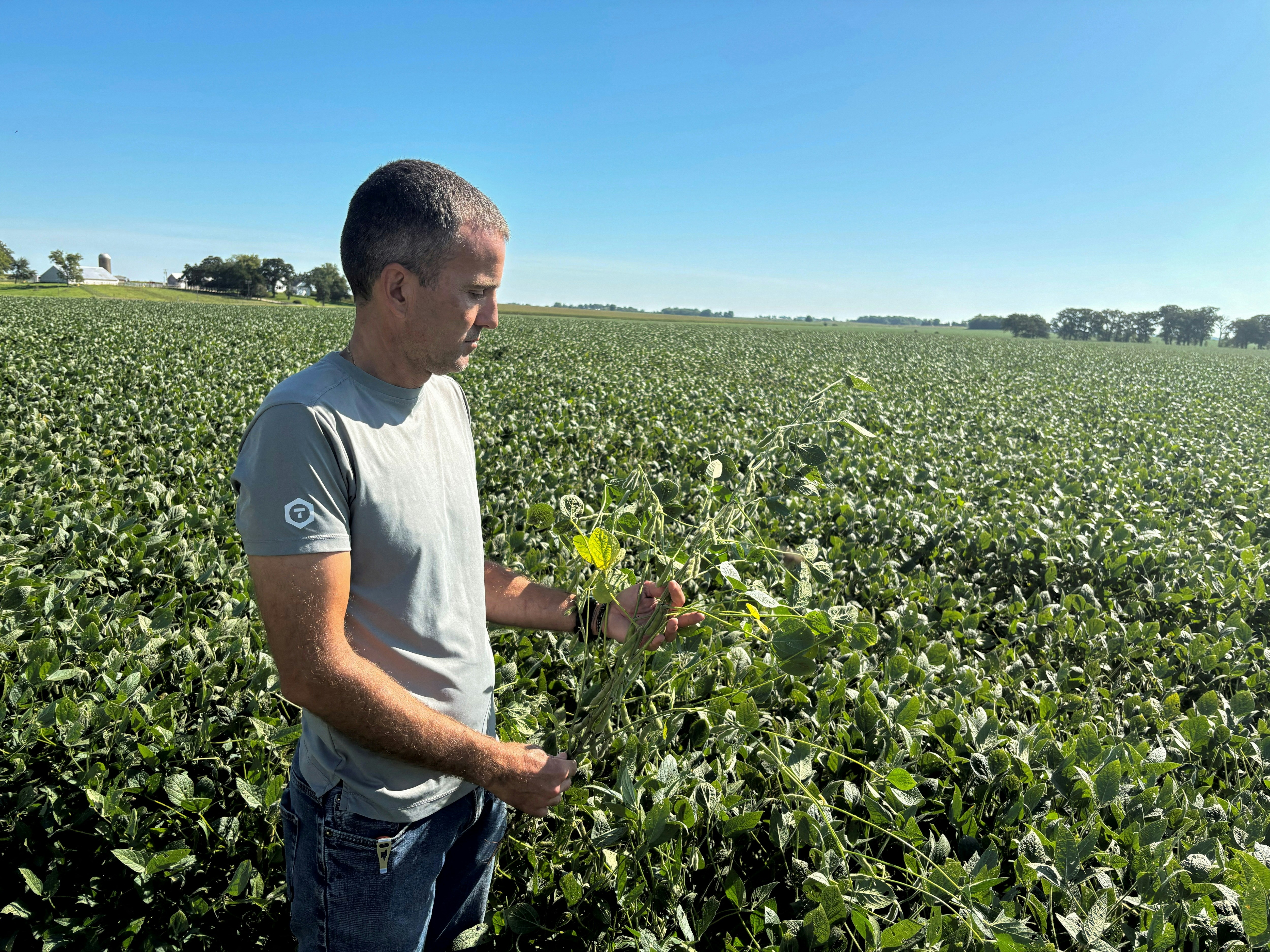 On August 27, 2025, in Waterman, Illinois, soybean farmer Ryan Frieders stands in his soybean field. (Reuters)