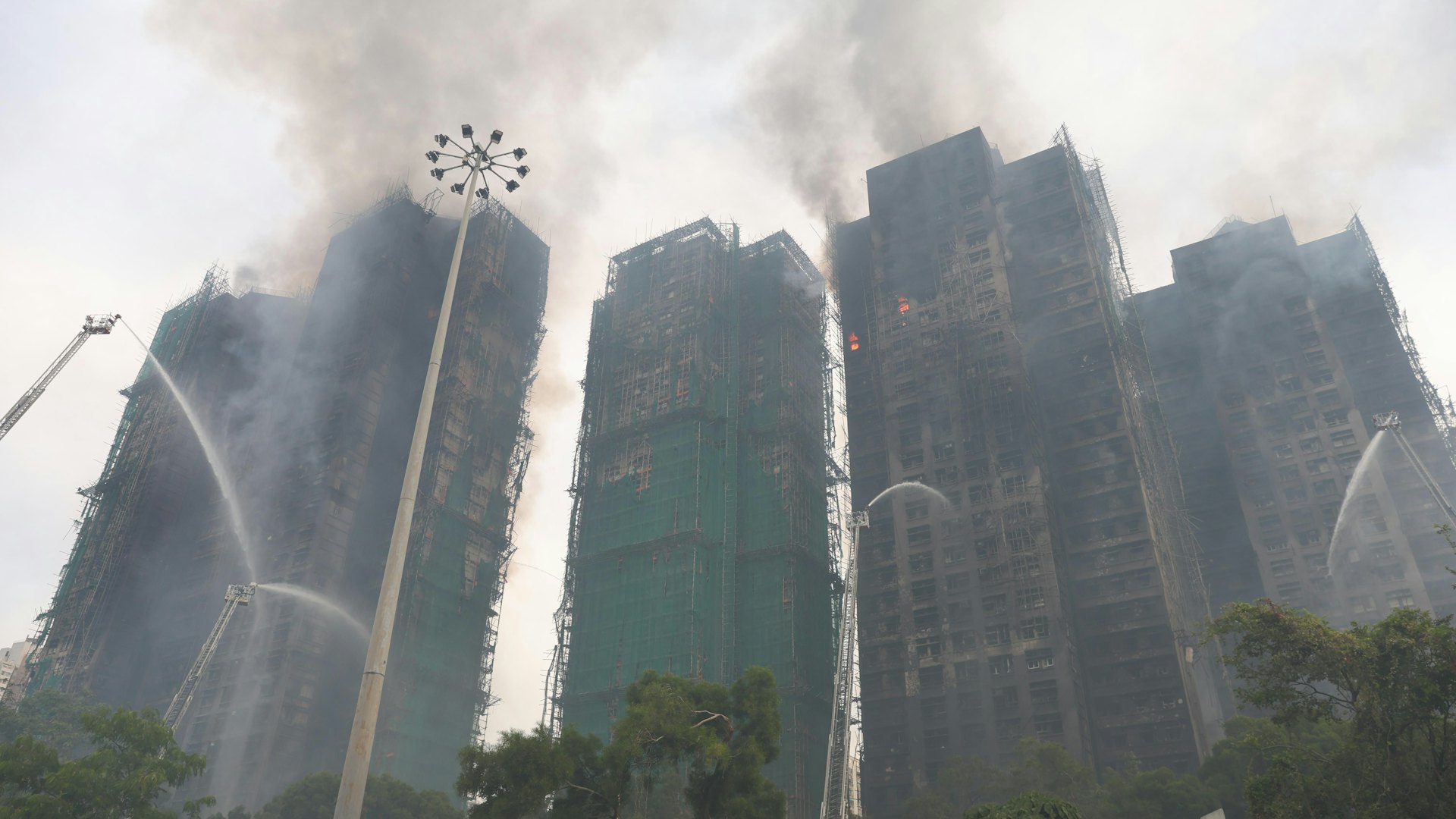 大埔火災|運輸署支援入住過渡性房屋災民 九巴75K延長服務時間 大埔火災|運輸署支援入住過渡性房屋災民 九巴75K延長服務時間