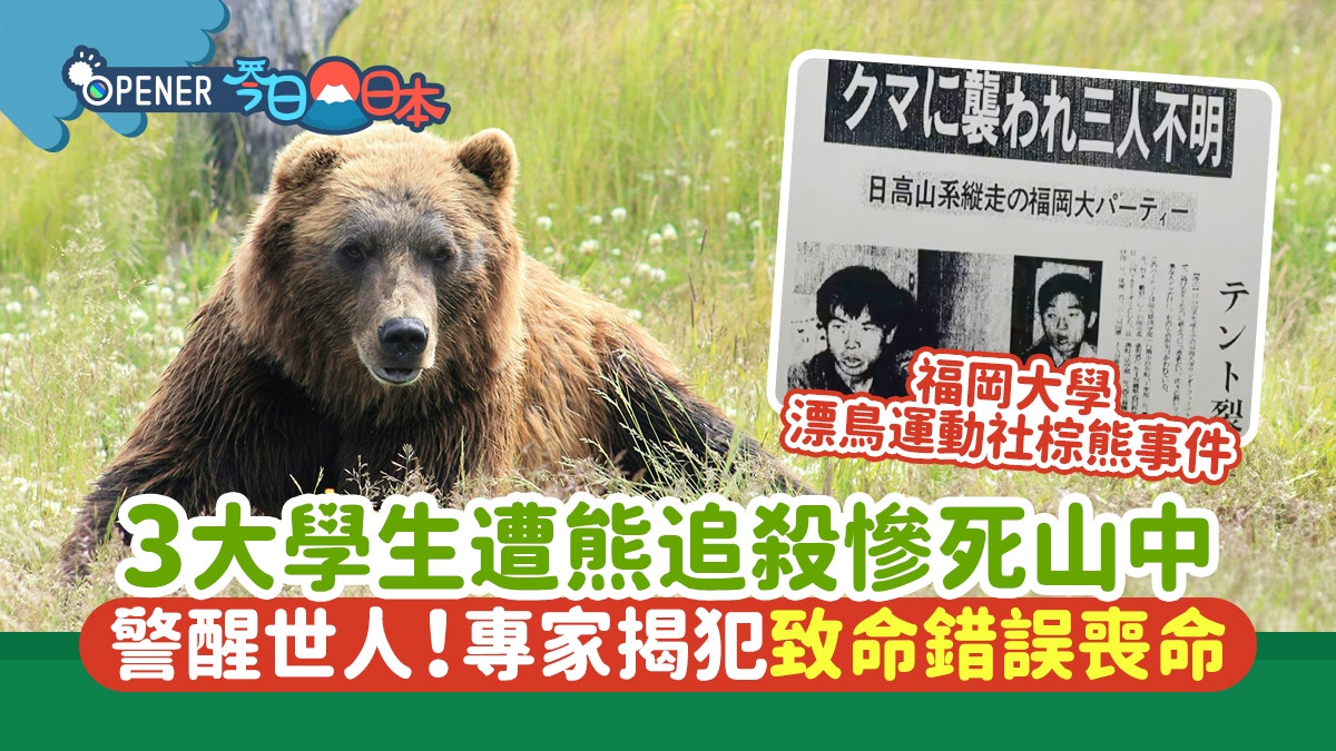日本北海道熊害历史｜大学生遭追杀酿3死专家揭犯致命错误丧命