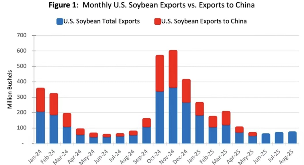 Monthly US soybean exports and exports to China. (Screenshot from a paper published by Purdue University in September)