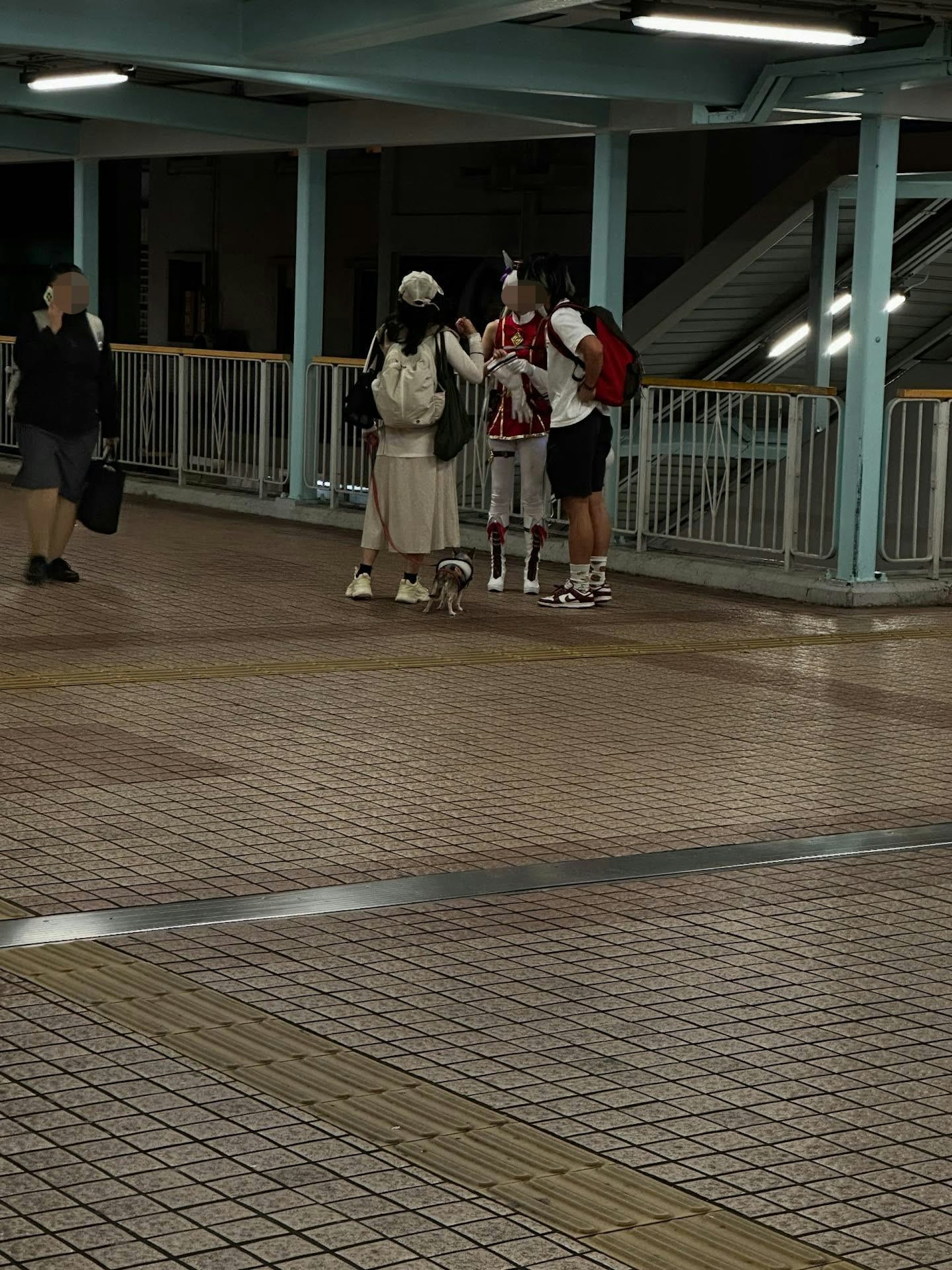 有熱愛動物的男子於網上發文表示,日前途經旺角一行人天橋時,見到1名女狗主欲拖着狗狗乘搭扶手電梯,他立即上前制止並抱起狗狗。(Threads@mrdarkfloyd) 有熱愛動物的男子於網上發文表示,日前途經旺角一行人天橋時,見到1名女狗主欲拖着狗狗乘搭扶手電梯,他立即上前制止並抱起狗狗。(Threads@mrdarkfloyd)