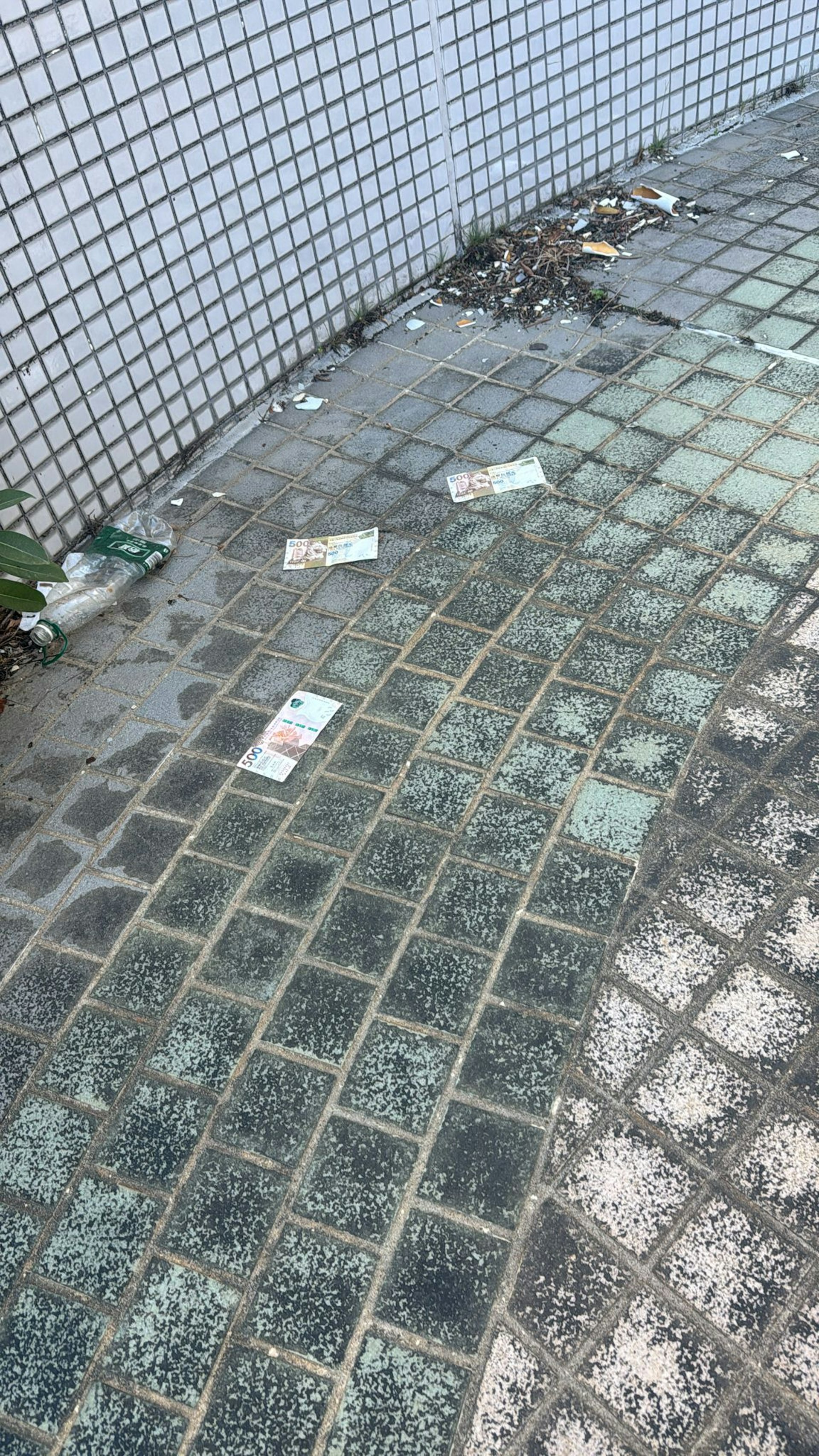 圖檔