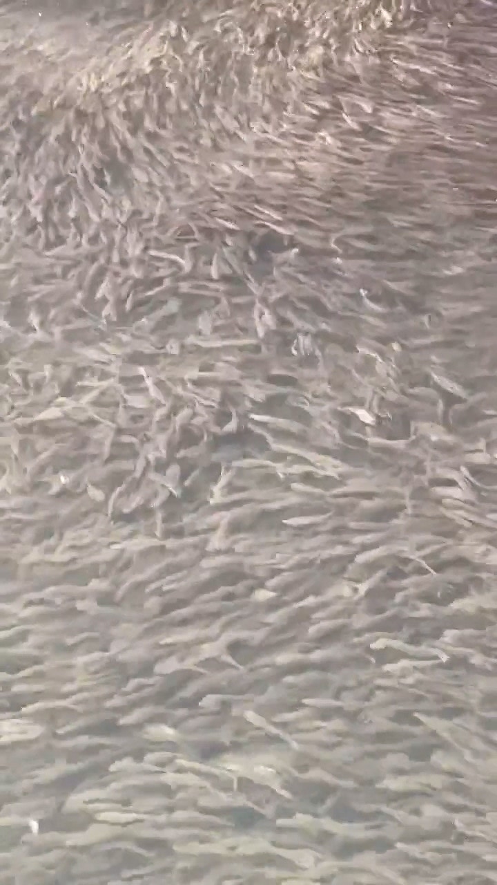 圖檔