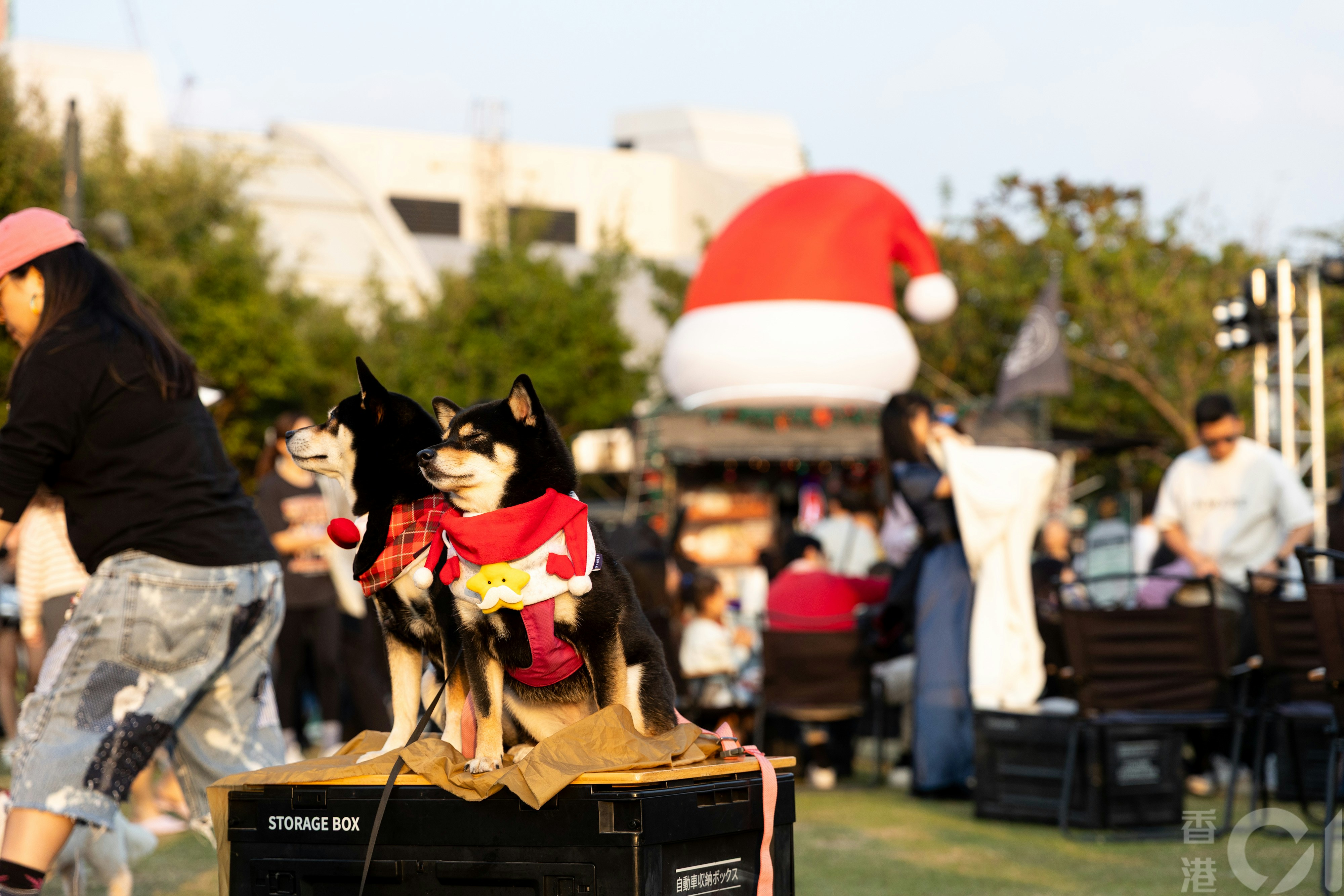 天文台尚未曾发寒冷天气警告或创迟纪录未来9日市区最低14度