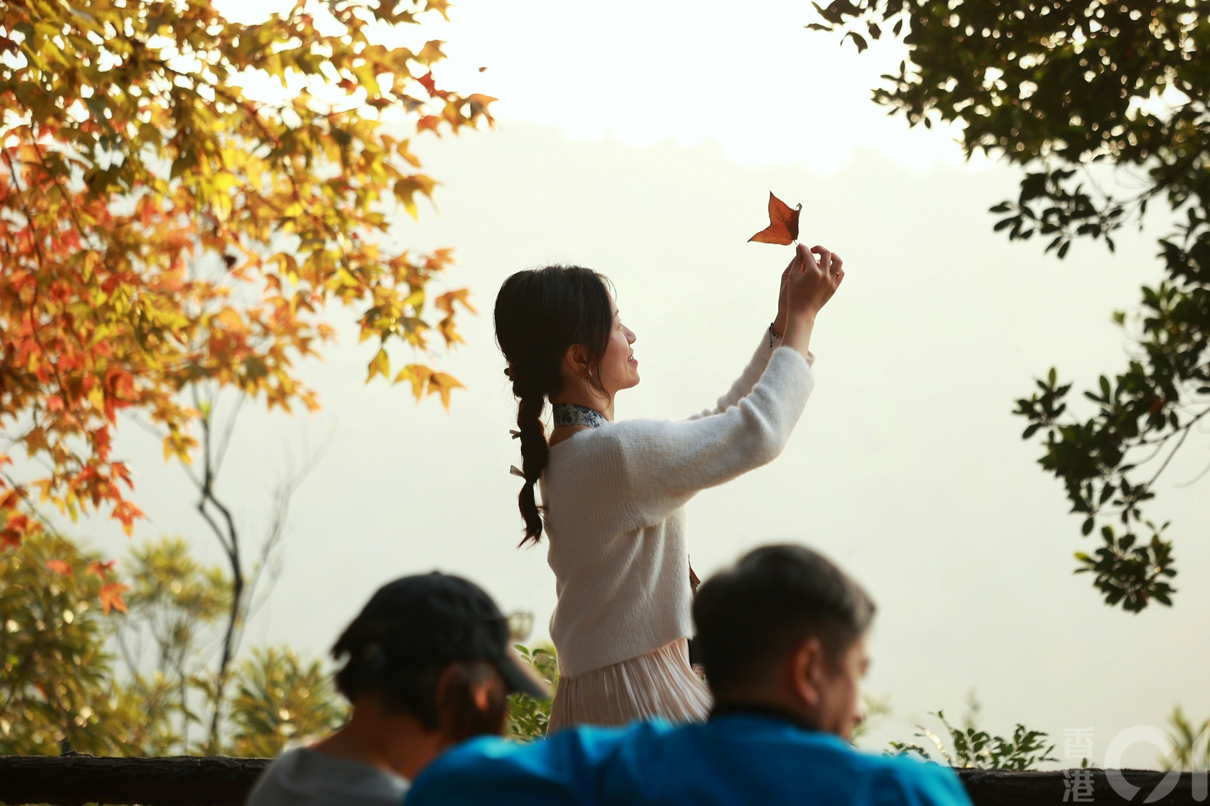 寒潮｜周六气温预测下调至12度天文台或发历来最迟寒冷天气警告