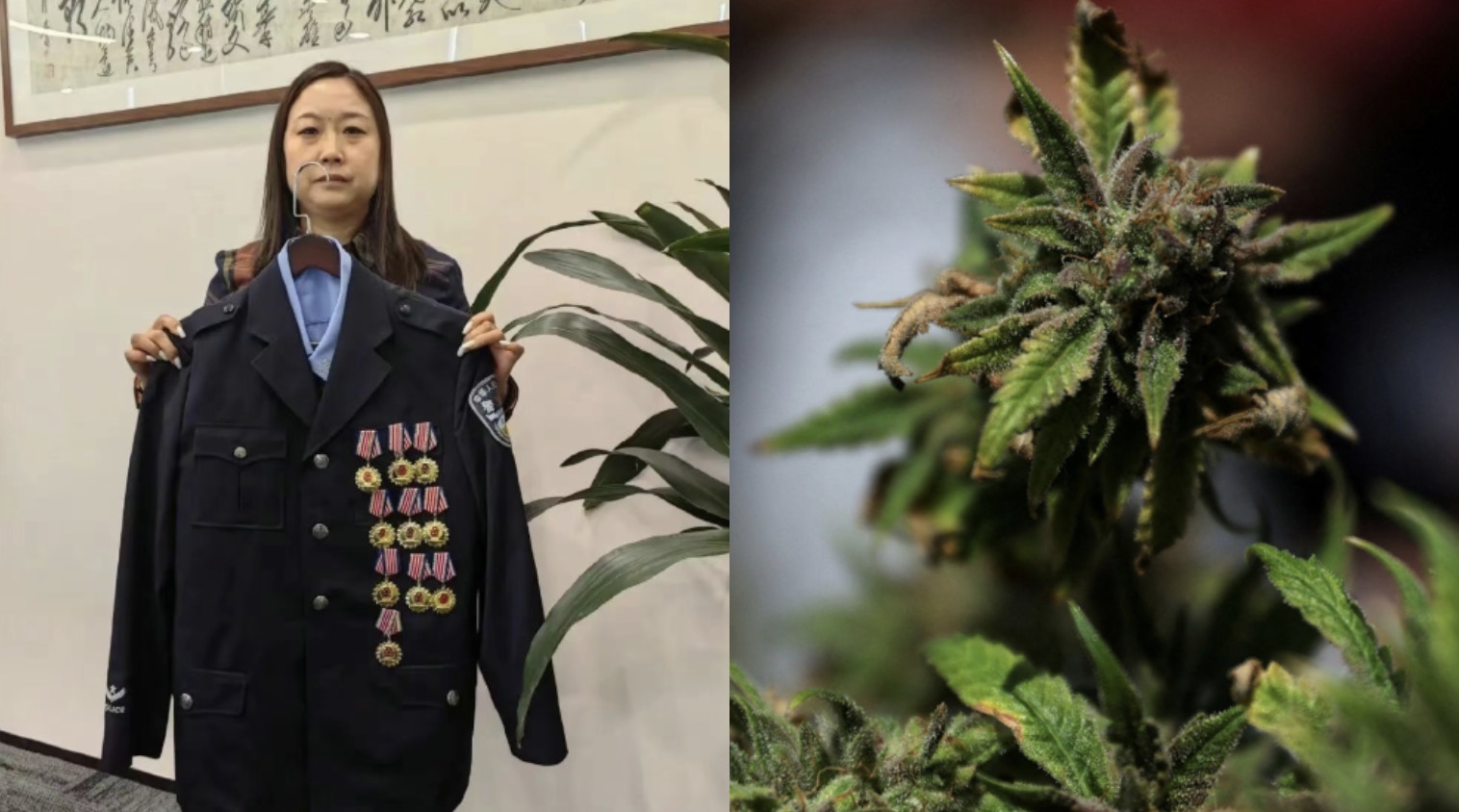 男子口袋藏2支大麻捲煙圖走私經西九龍站過關斷正