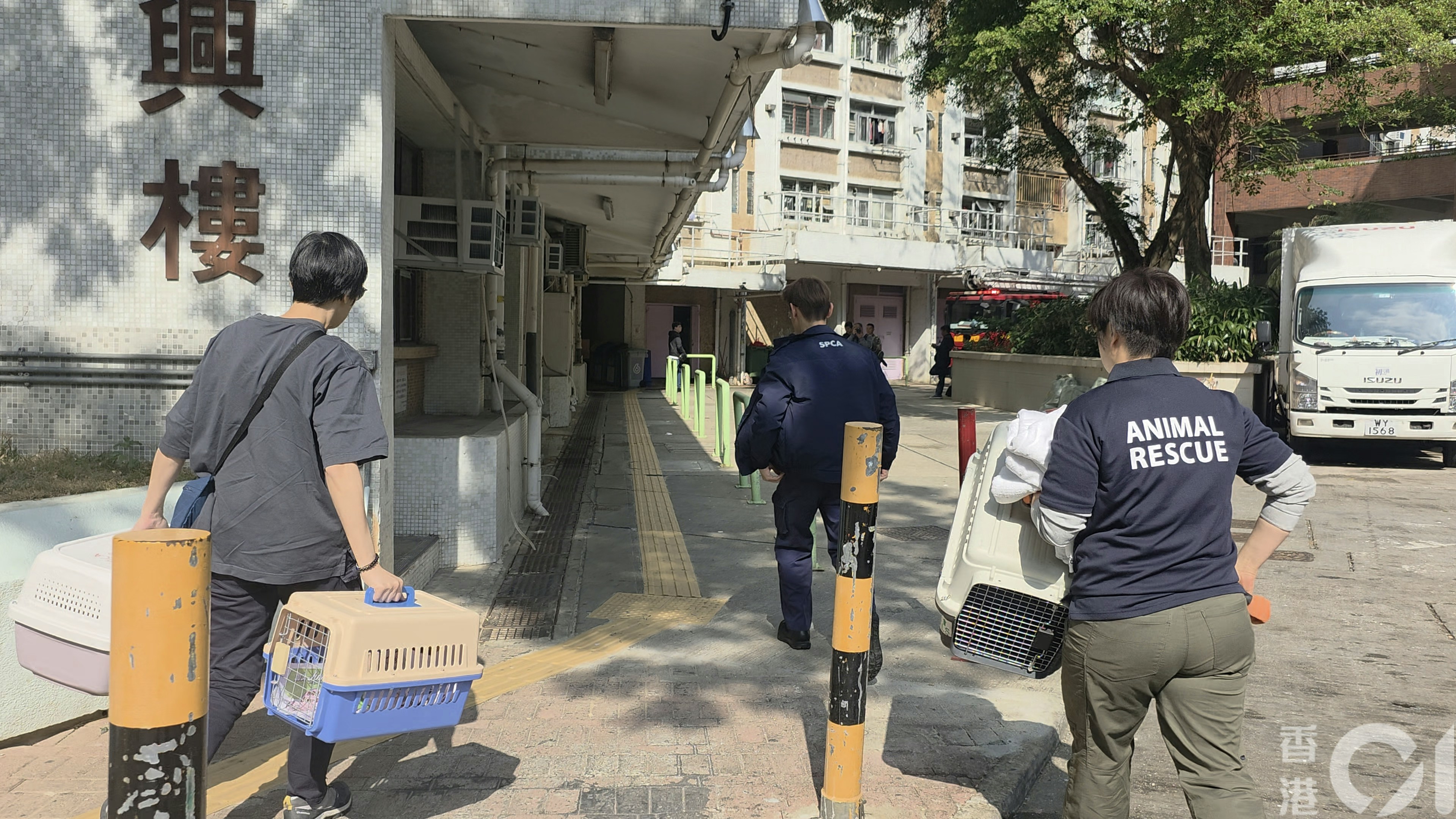 香港仔利東邨發生火警，消防動用一條喉及一隊煙帽隊將火救熄，並救出3隻成年花貓。可惜經檢驗後，當場證實3貓已經死亡。愛護動物協會到場。（鄭嘉惠攝）