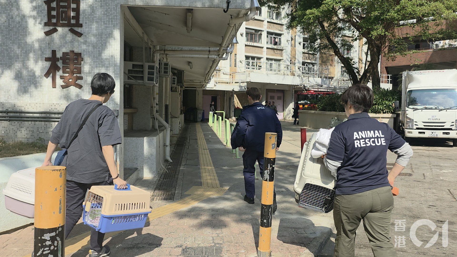 香港仔利東邨發生火警,消防動用一條喉及一隊煙帽隊將火救熄,並救出3隻成年花貓。可惜經檢驗後,當場證實3貓已經死亡。愛護動物協會到場。(鄭嘉惠攝) 香港仔利東邨發生火警,消防動用一條喉及一隊煙帽隊將火救熄,並救出3隻成年花貓。可惜經檢驗後,當場證實3貓已經死亡。愛護動物協會到場。(鄭嘉惠攝)