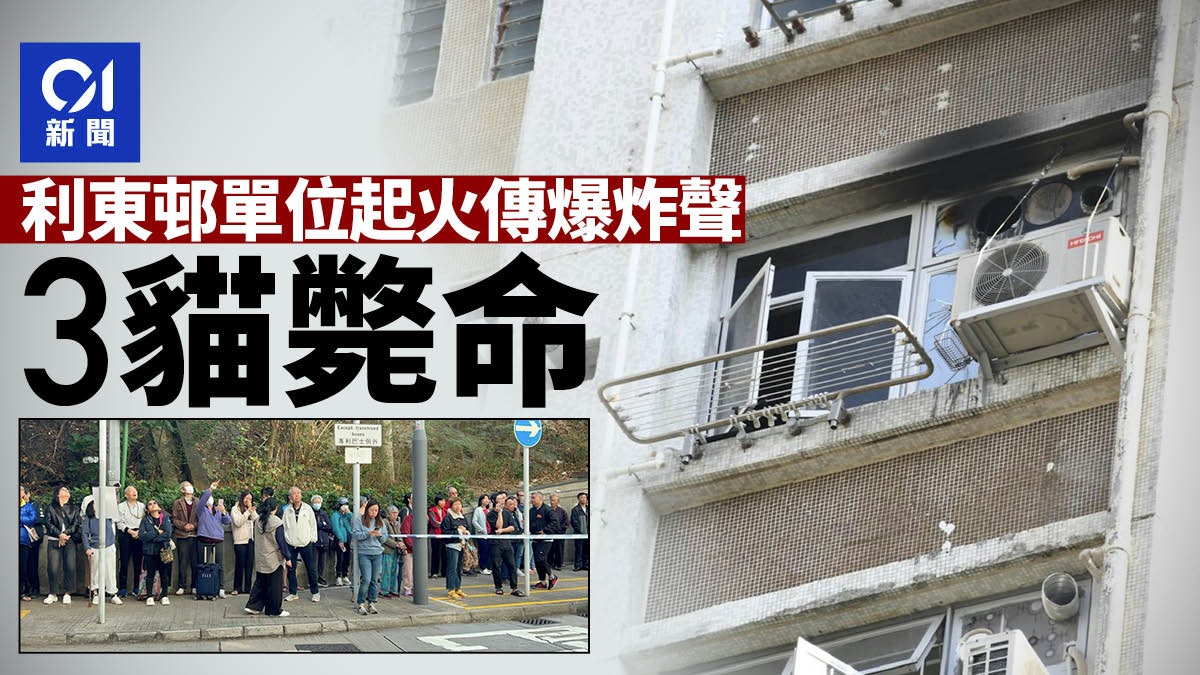 鴨脷洲利東邨東興樓單位起火傳爆炸聲 3唐貓斃命 鴨脷洲利東邨東興樓單位起火傳爆炸聲 3唐貓斃命