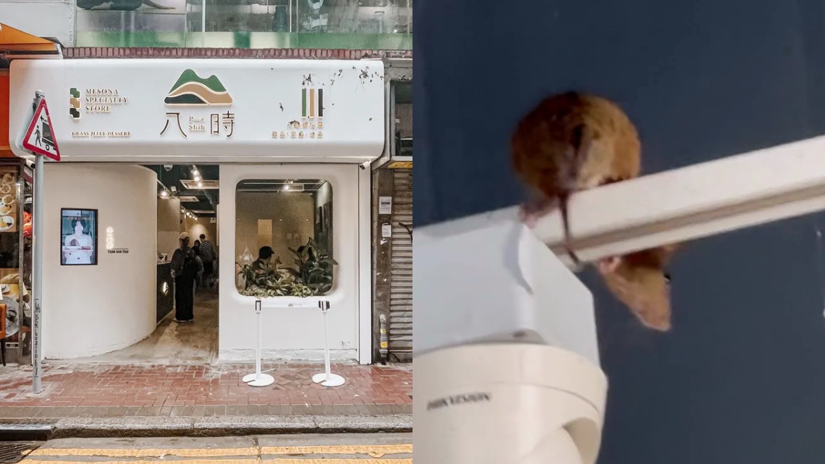 除夕夜甜品店驚見巨鼠 店員輕挑回應「新養一齊倒數」 餐廳致歉