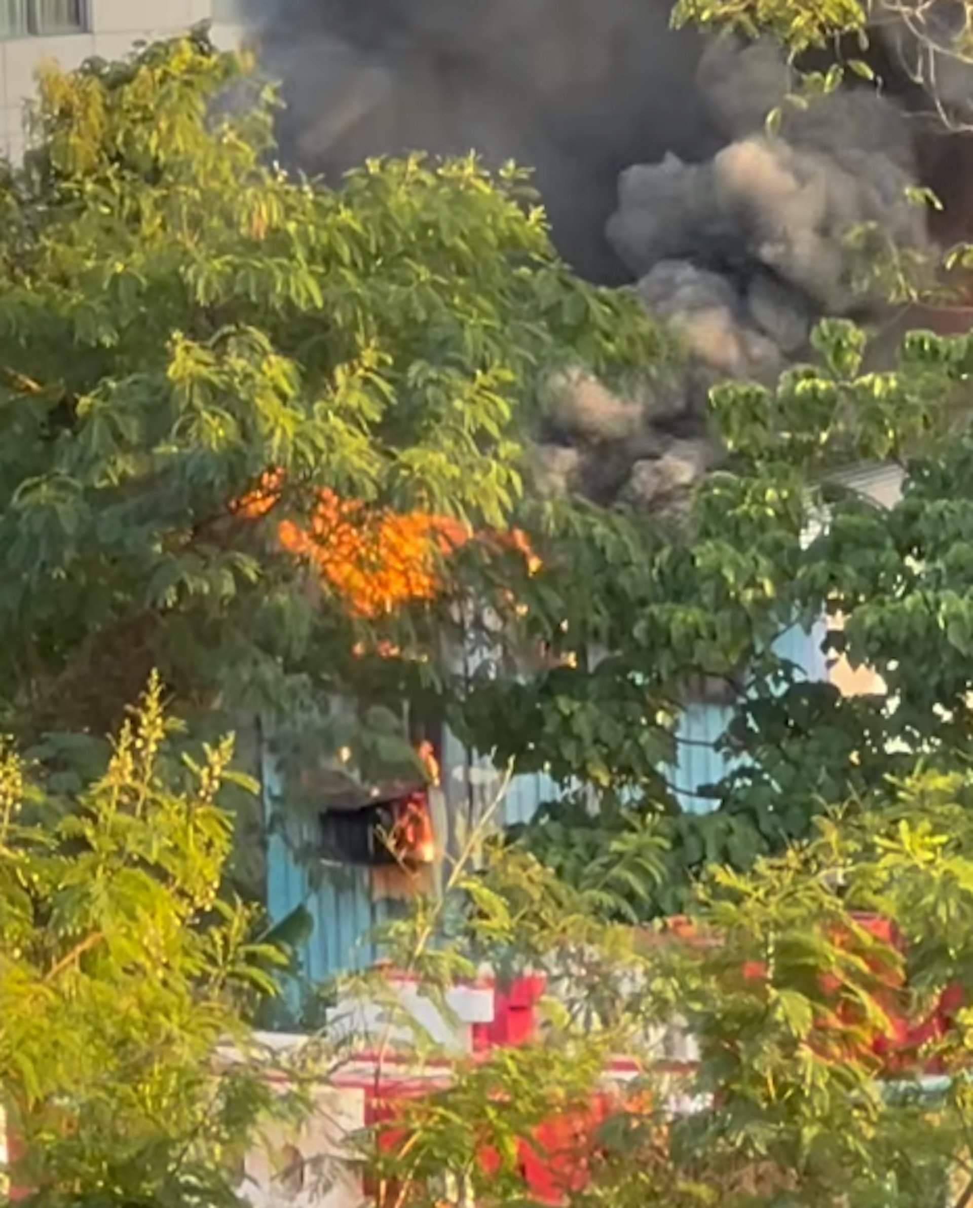 落馬洲河上鄉有一間鐵皮屋起火冒煙,現場火光熊熊,冒出大量黑煙。(fb/上水人大聯盟 Flora Yip ) 落馬洲河上鄉有一間鐵皮屋起火冒煙,現場火光熊熊,冒出大量黑煙。(fb/上水人大聯盟 Flora Yip )