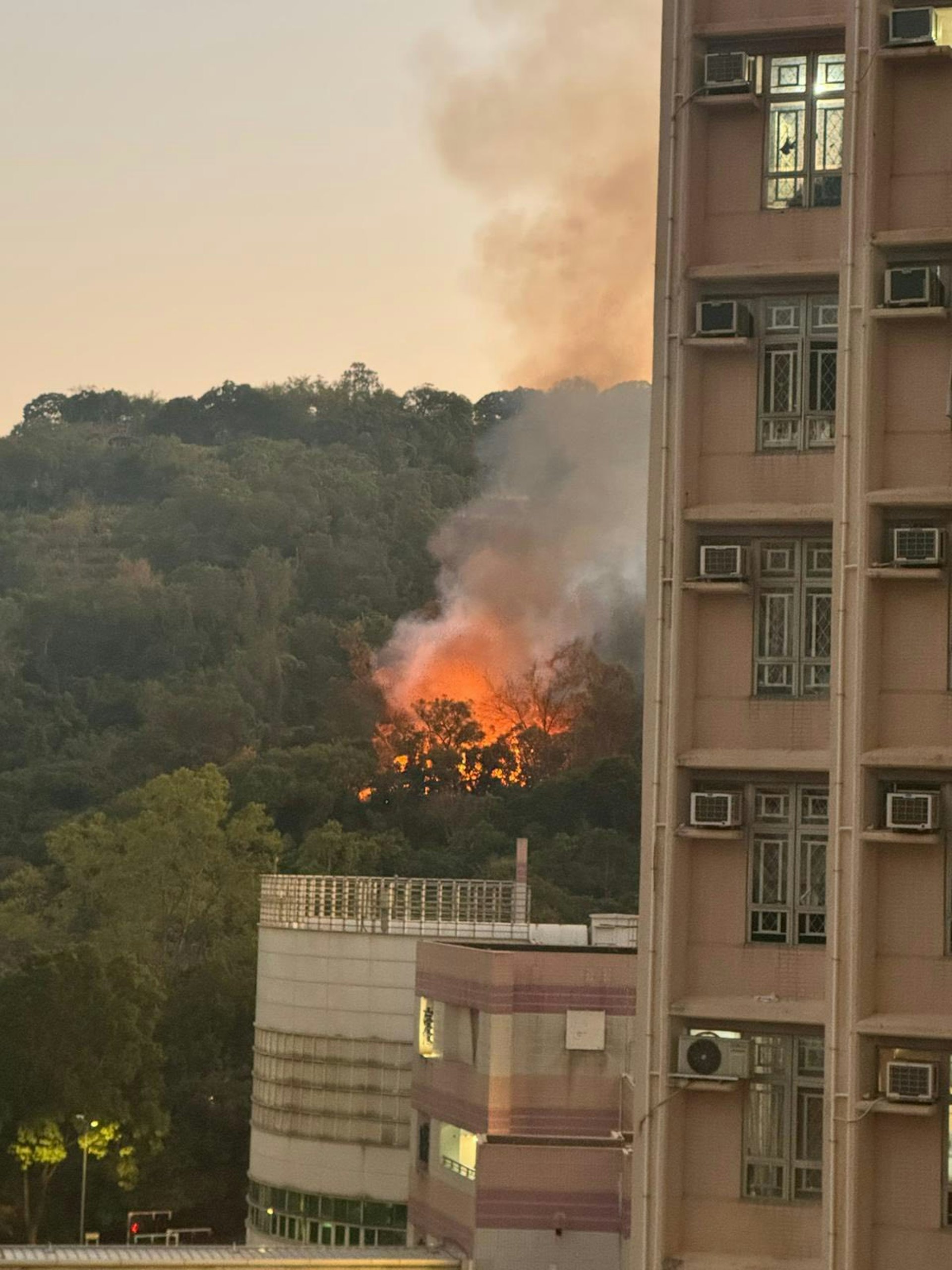 山火逼近民居。(Facebook Bosco Chu) 山火逼近民居。(Facebook Bosco Chu)