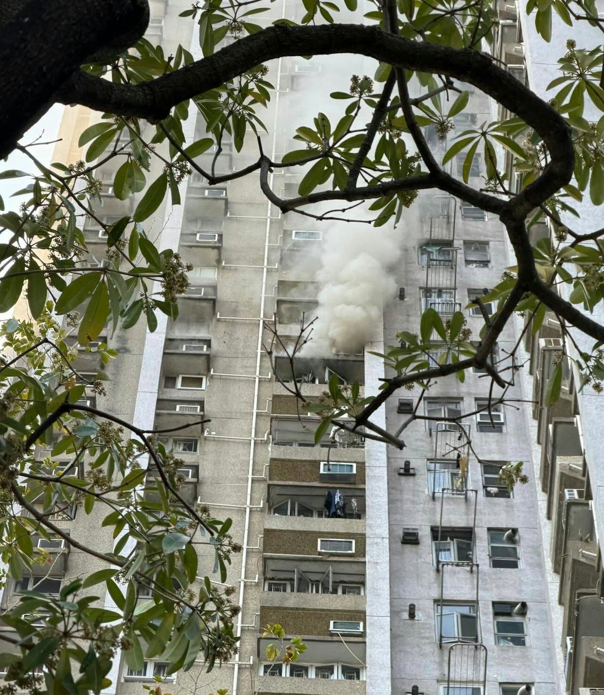 屯門兆麟苑翠麟苑一單位起火,冒出濃煙。(threads/jaydenc523_2.0) 屯門兆麟苑翠麟苑一單位起火,冒出濃煙。(threads/jaydenc523_2.0)