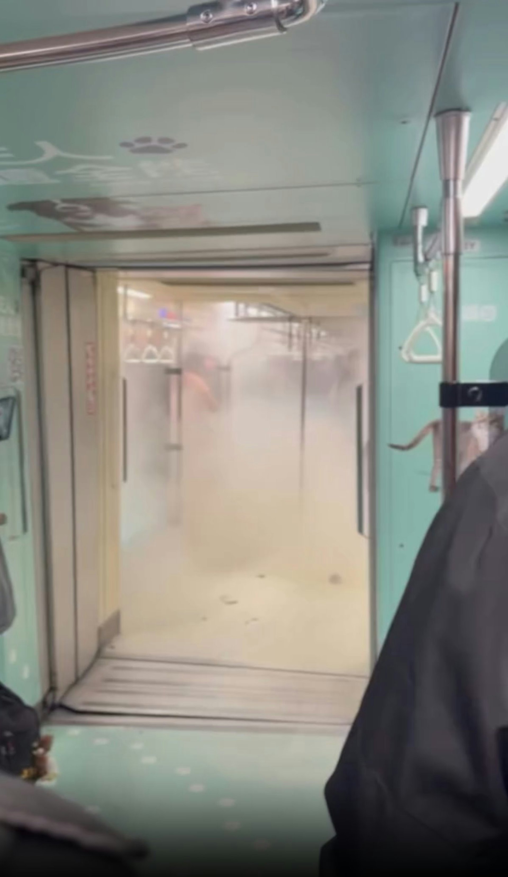 1月16日晚間台北捷運板南線一列開往頂埔方向的列車在即將抵達板橋站時,車廂內突有旅客的行動電源因不明原因冒煙起火,引發乘客恐慌奔逃。(Threads@1anu7_11) 1月16日晚間台北捷運板南線一列開往頂埔方向的列車在即將抵達板橋站時,車廂內突有旅客的行動電源因不明原因冒煙起火,引發乘客恐慌奔逃。(Threads@1anu7_11)