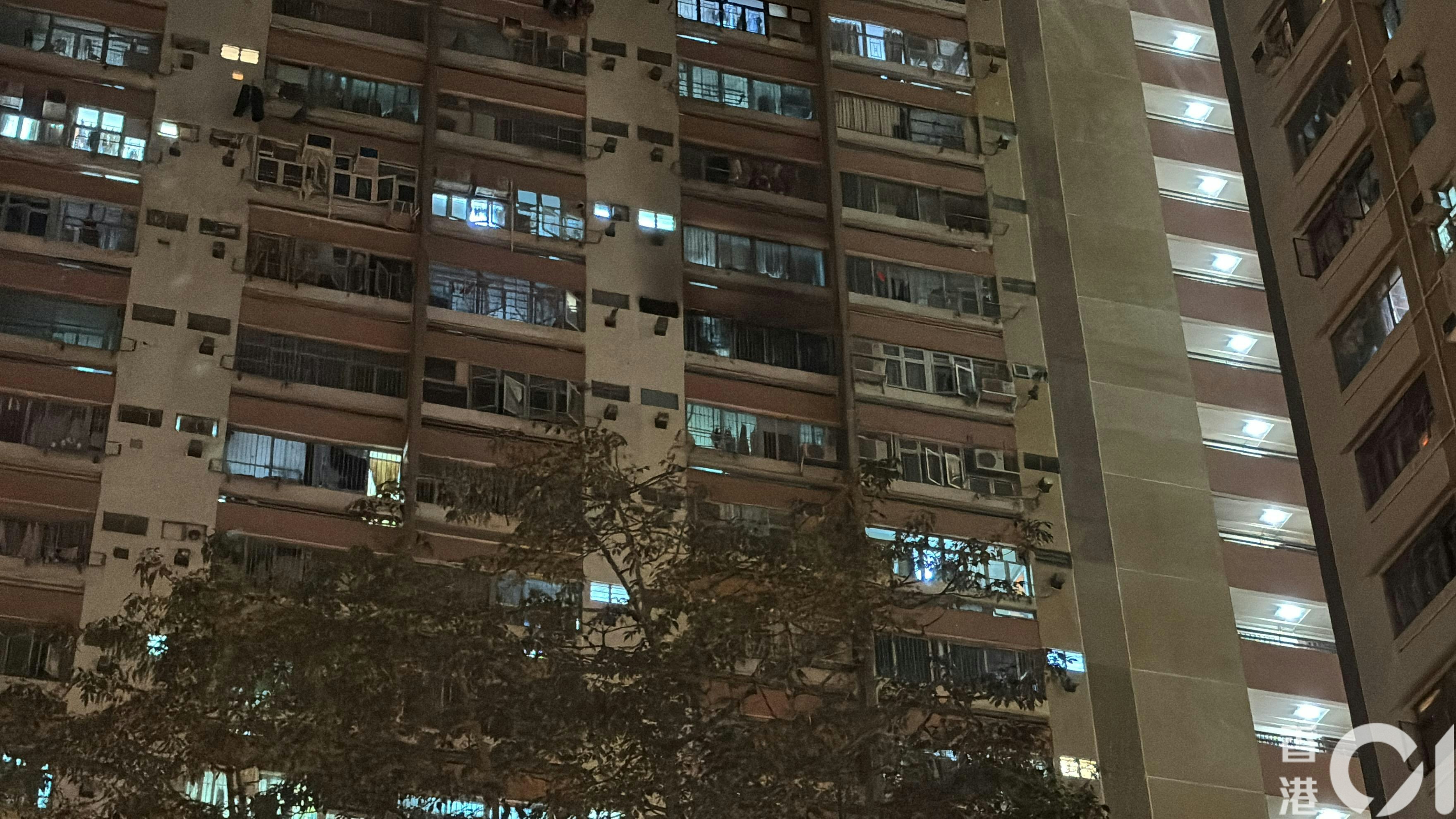 消防動用一條喉及一隊煙帽隊灌救，火勢迅速救熄。（陳浩然攝）