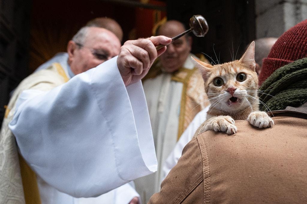 聖安東尼在西班牙是動物的守護神，2026年1月17日，民眾在這天按傳統帶著寵物到教堂接受神父祝福（Getty）