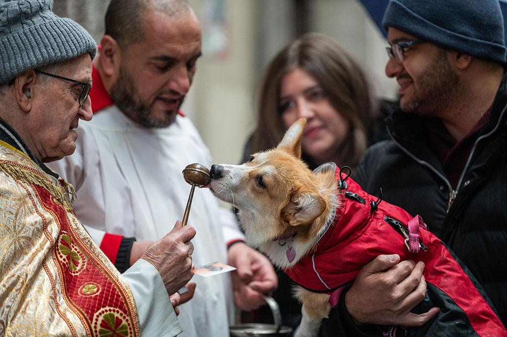 2026年1月17日，有西班牙民眾帶同寵物犬到教堂接受神父祝福（Getty）