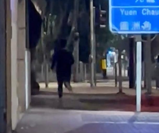 沙田遇大隻露體狂！夜歸女轉身追擊狂奔後續笑爆全網：我無嘢驚