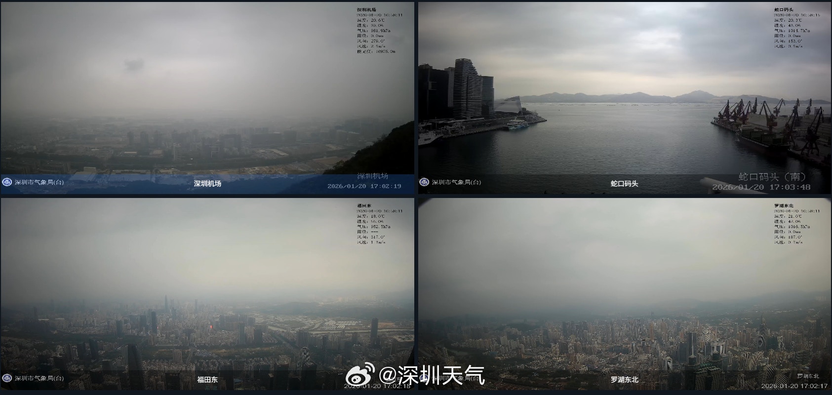 最低跌至7℃ 深圳发布寒冷黄色预警 部分列车停运