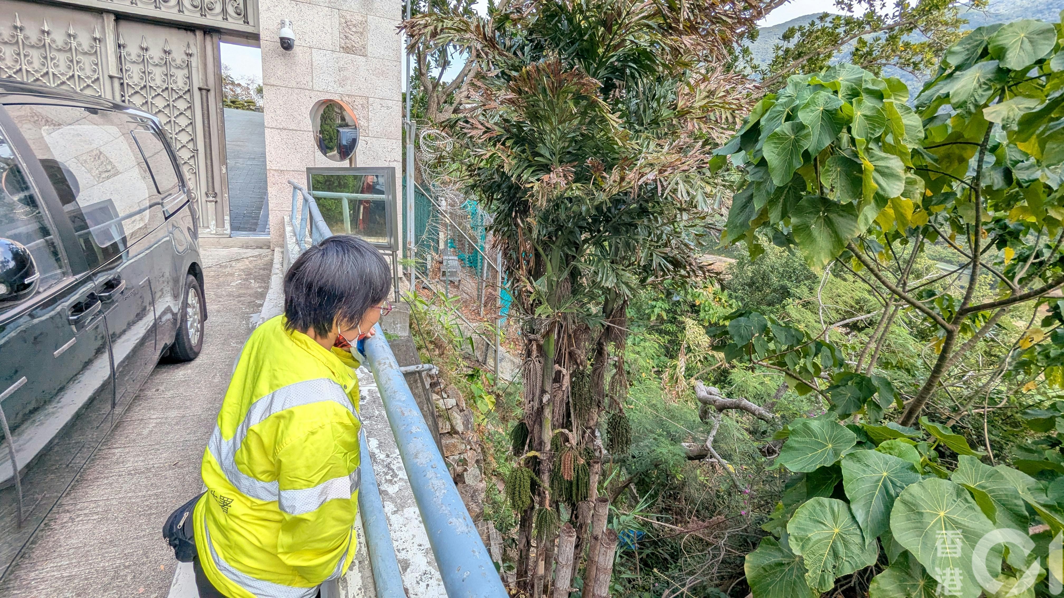 李嘉誠大宅外傳異味疑漏氣警方消防到場調查揭山坡有野豬屍體