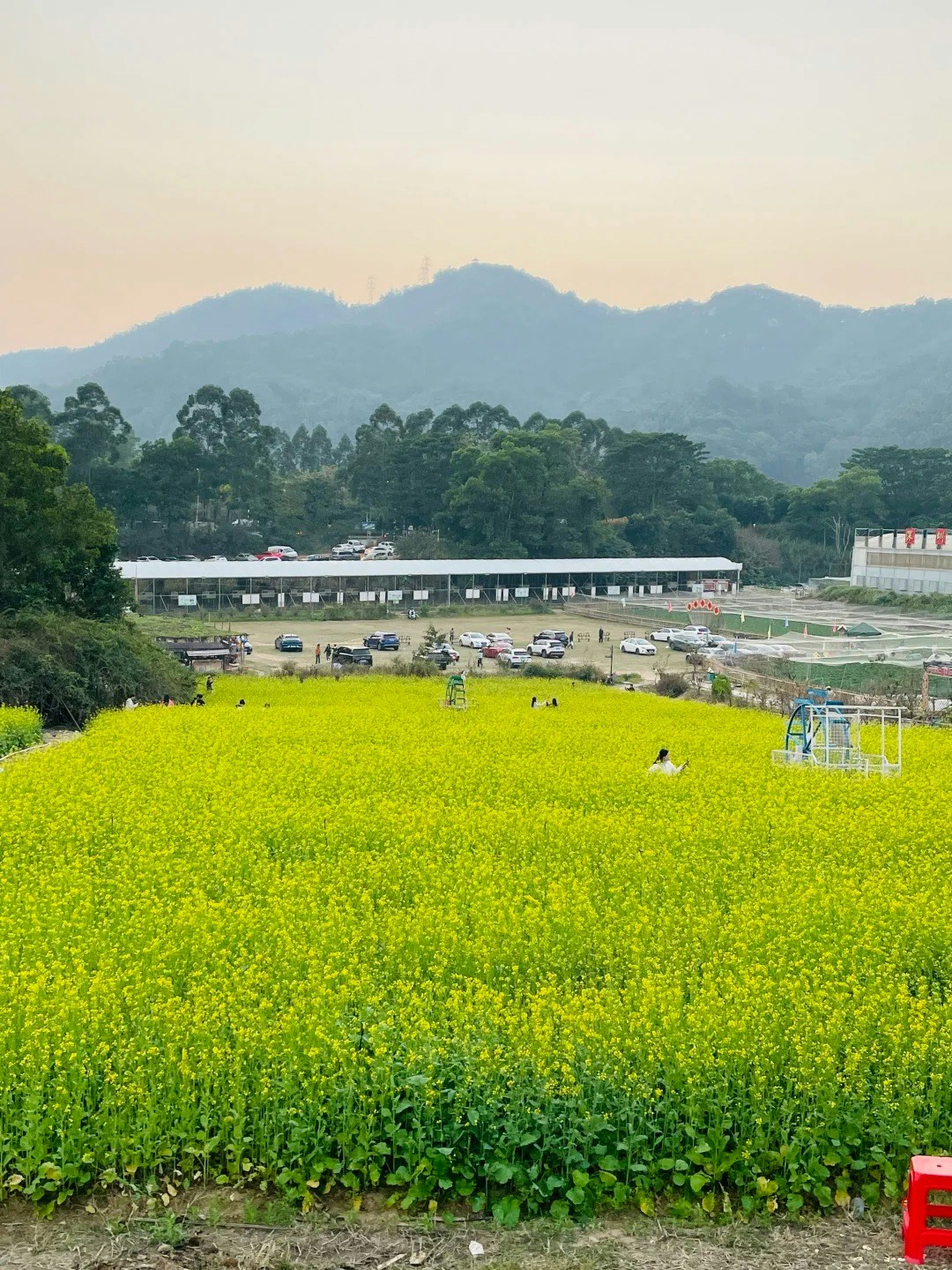 鳳凰山農趣谷農場——1.3個維多利亞公園面積/油菜花花田/摘水果/火灶煮飯(小紅書@意晨陳) 鳳凰山農趣谷農場——1.3個維多利亞公園面積/油菜花花田/摘水果/火灶煮飯(小紅書@意晨陳)