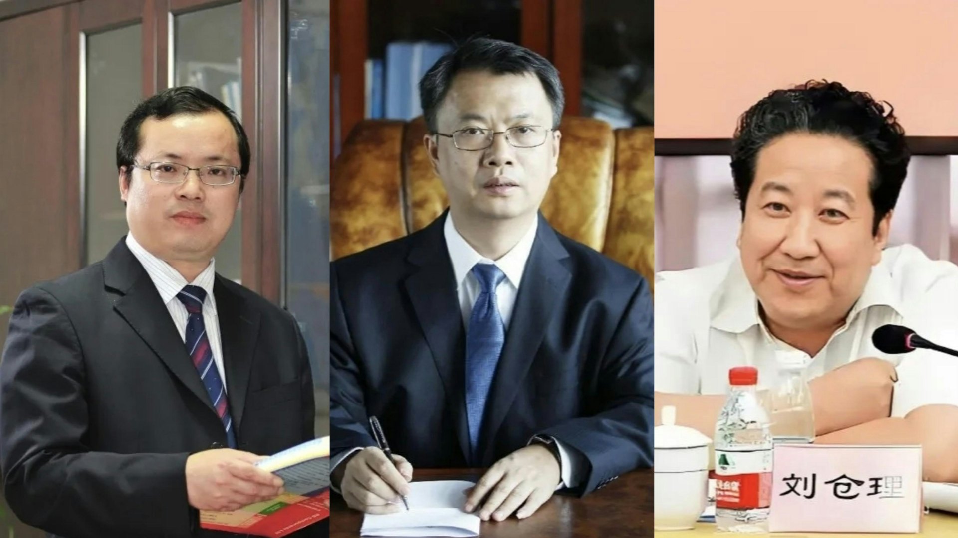 中国人大常委会罢免三军工高管人大代表资格未涉张又侠、刘振立